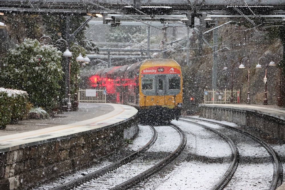 red and yellow train on rail tracks