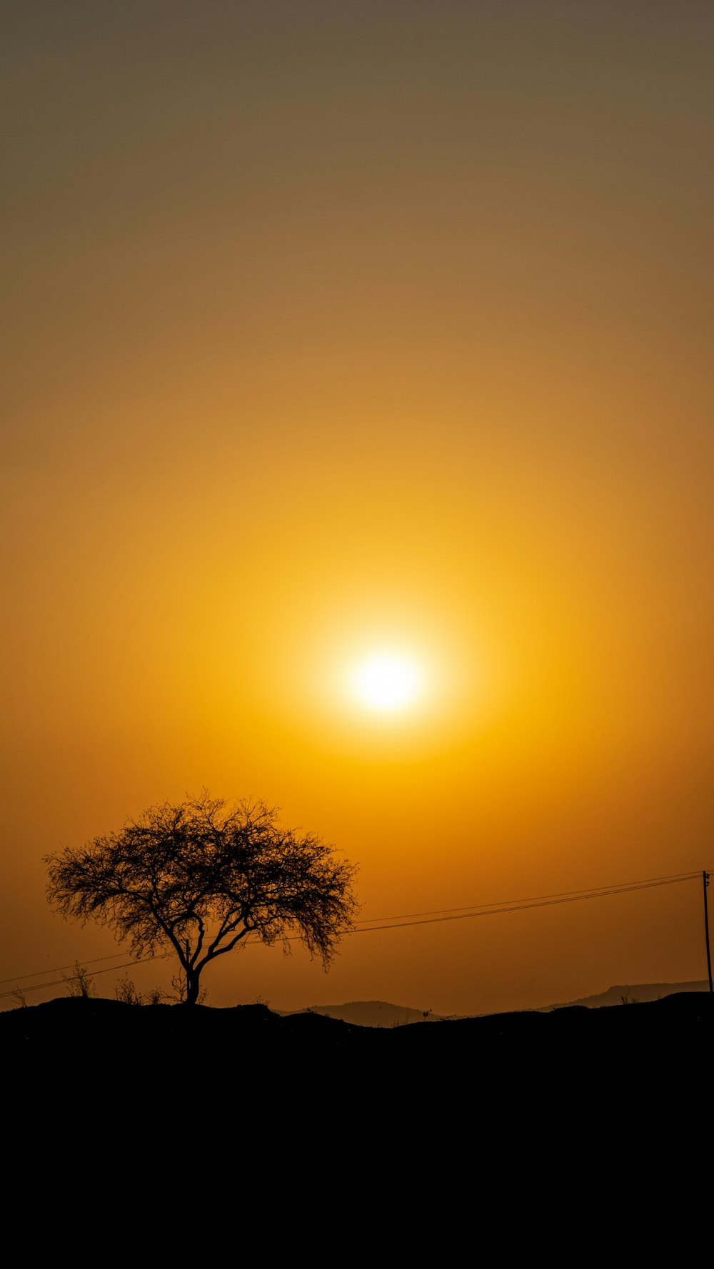 sun over tree during sunset