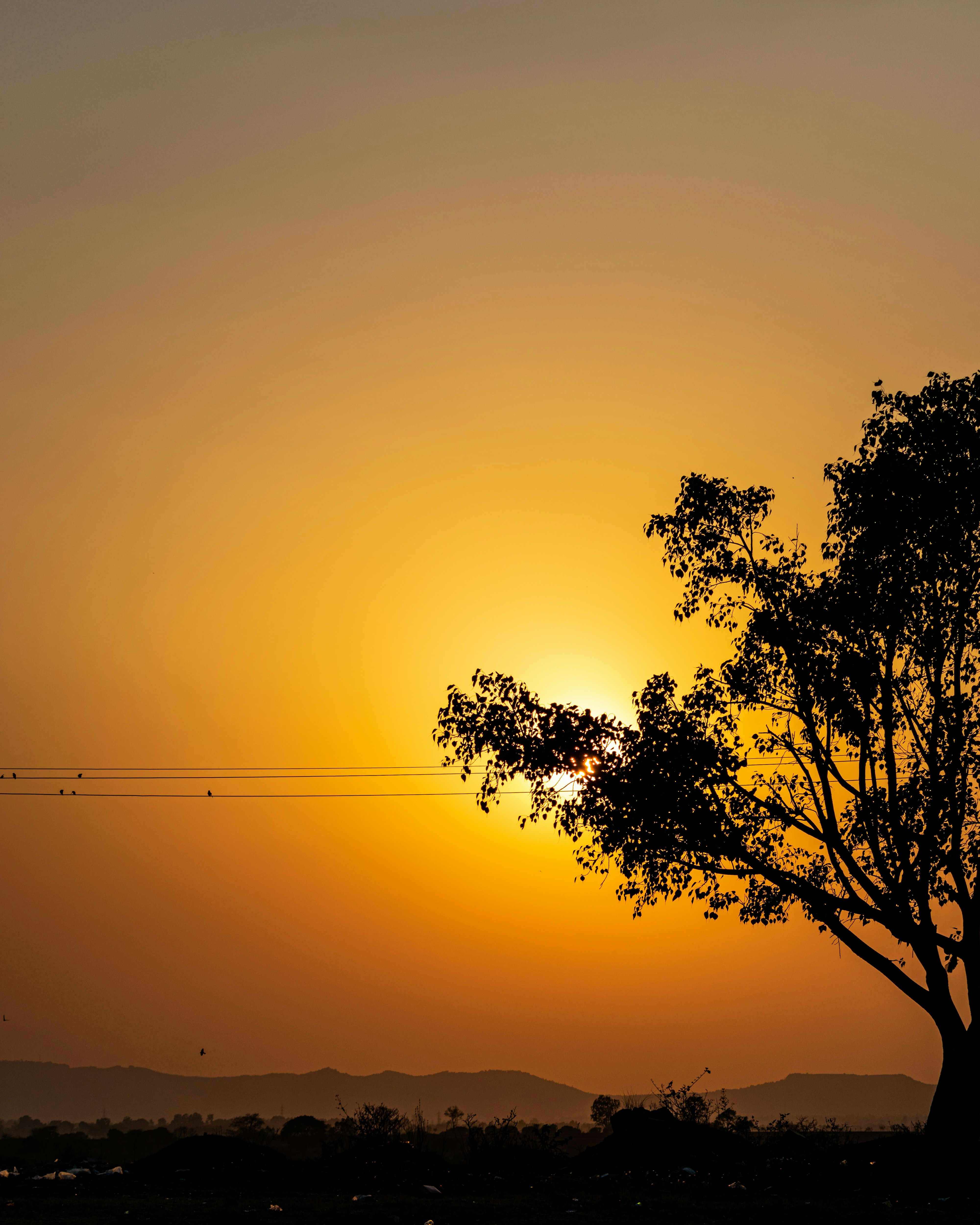 Exciting New Research on Immune Cells and MS Treatment