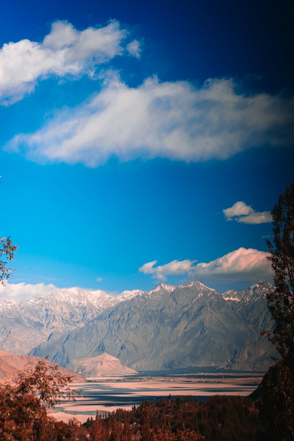 green tree on top of the mountain during daytime