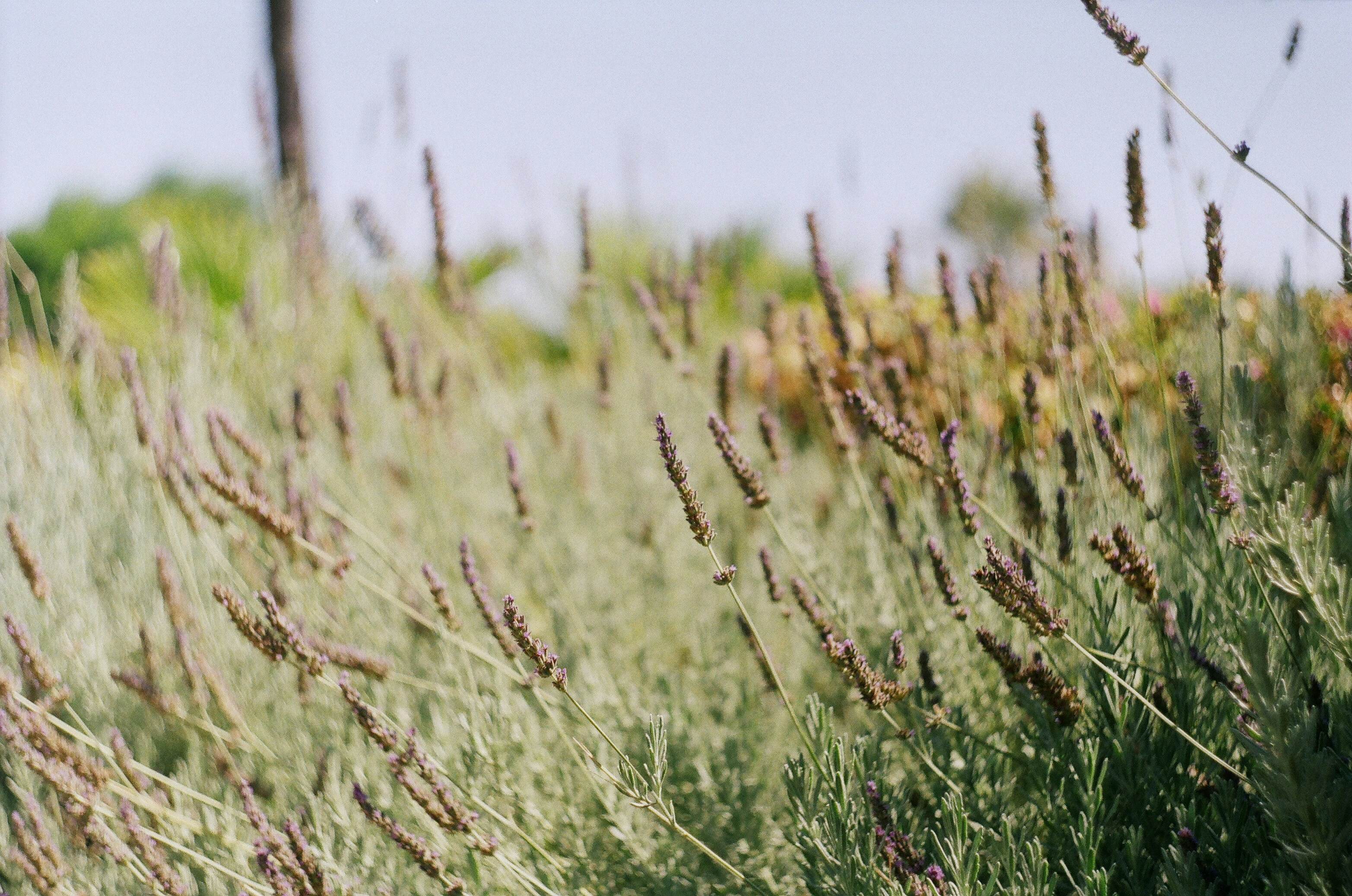 Photo by olgaanoshkina