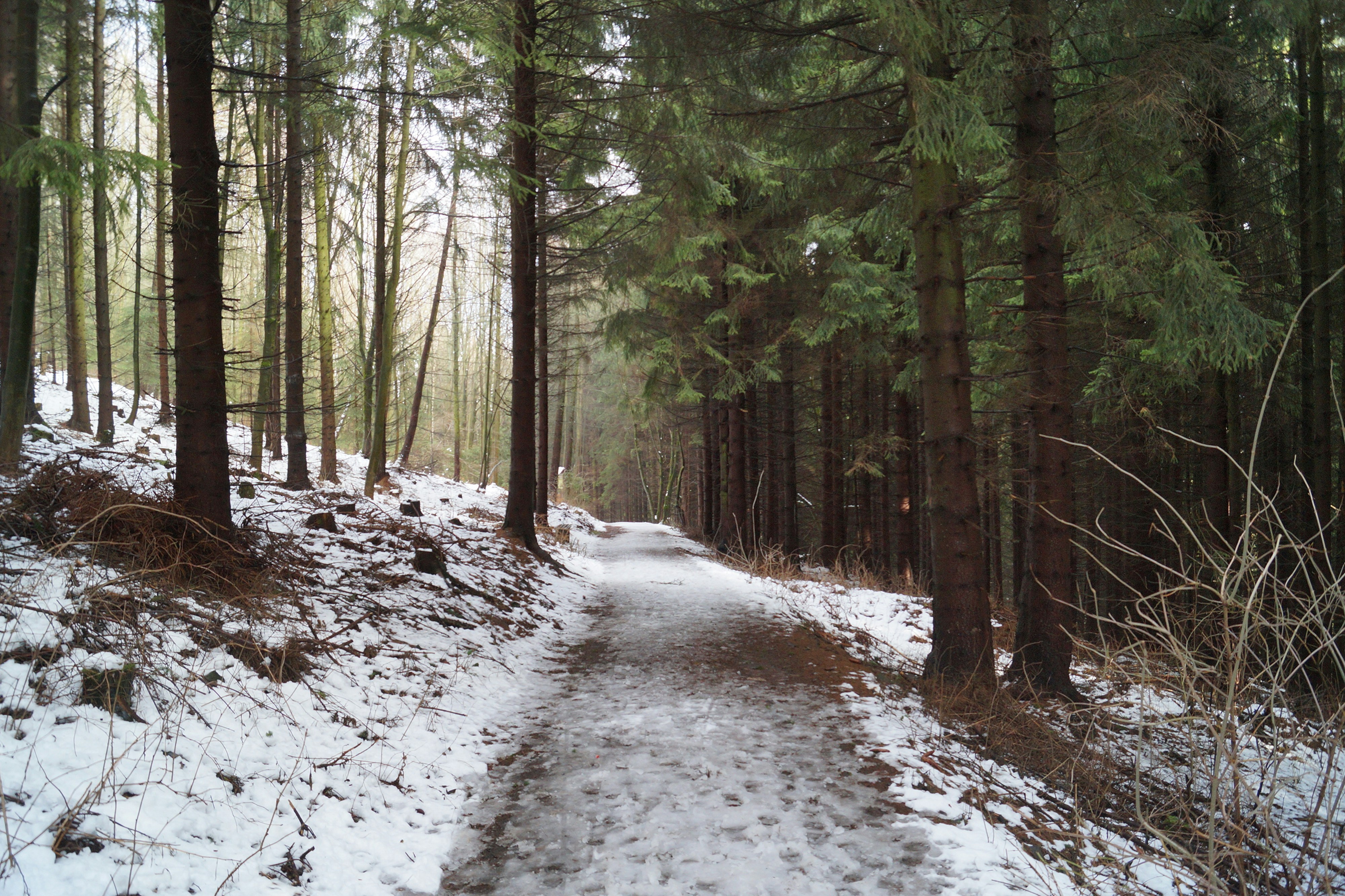 Photo by henrikladewig