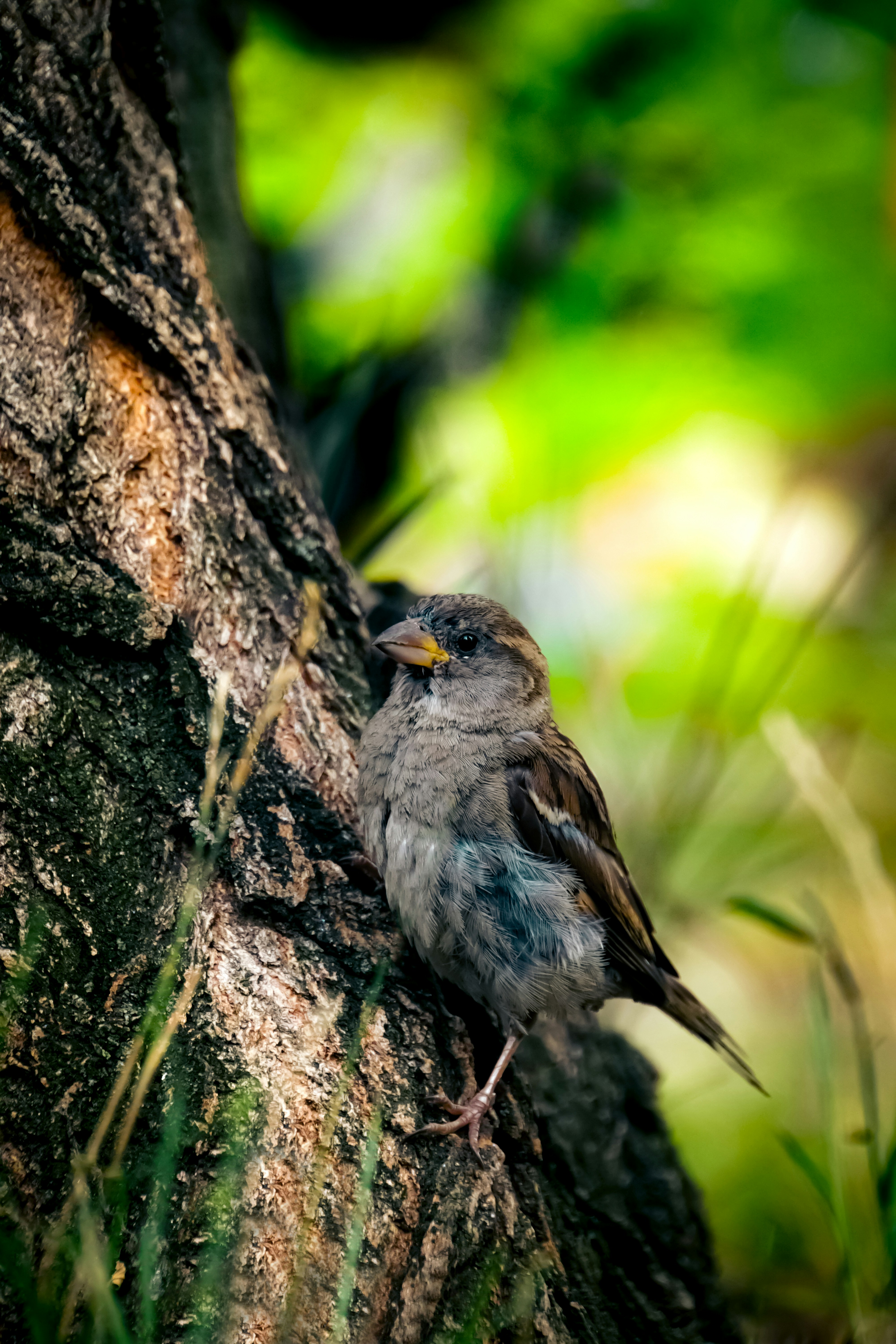 Photo by henrikladewig