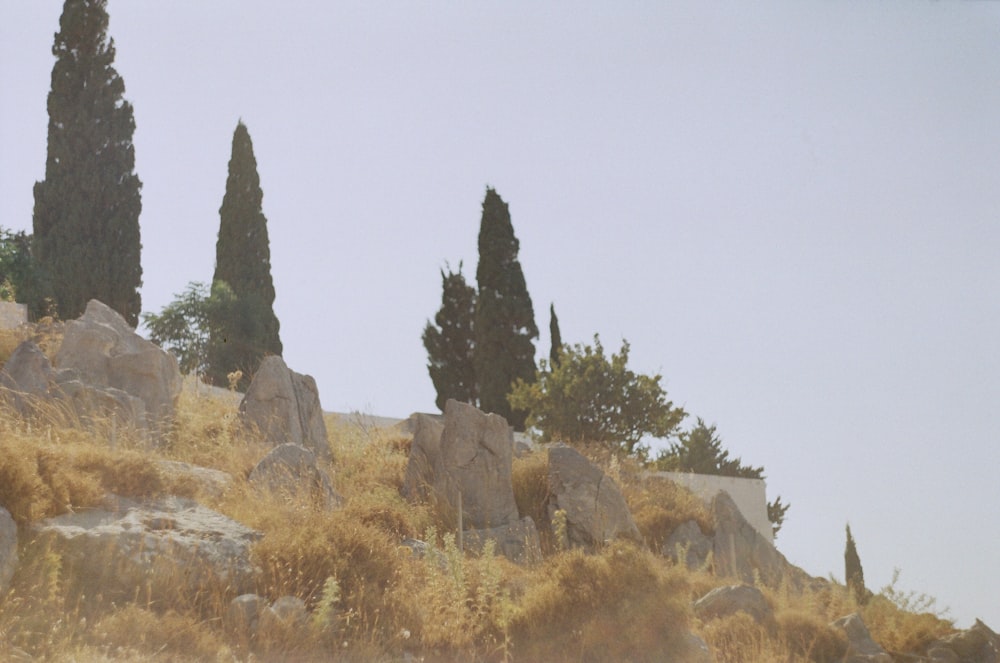 brown rock formation under white sky during daytime