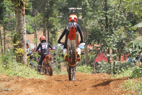 Aamd bikers Trail Blazer motorbike navigating a rocky mountain trail surrounded by pine trees.