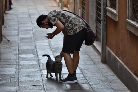 man in black t-shirt and black shorts holding black short coated dog
