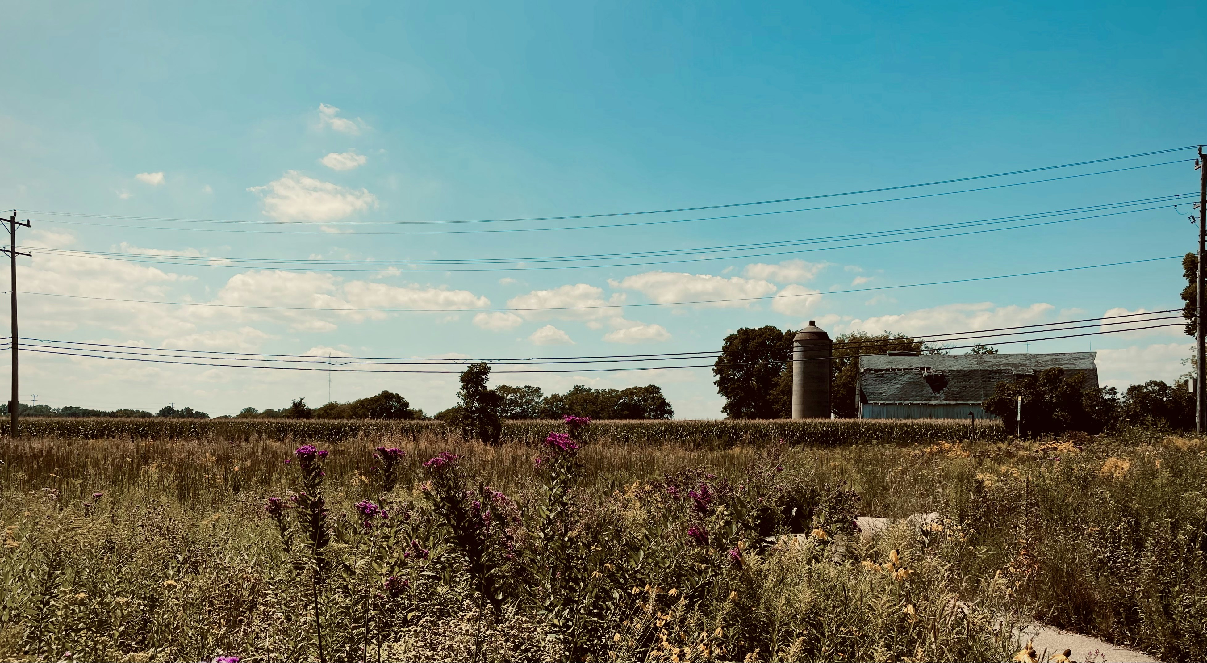 Photo by kruegerelliot