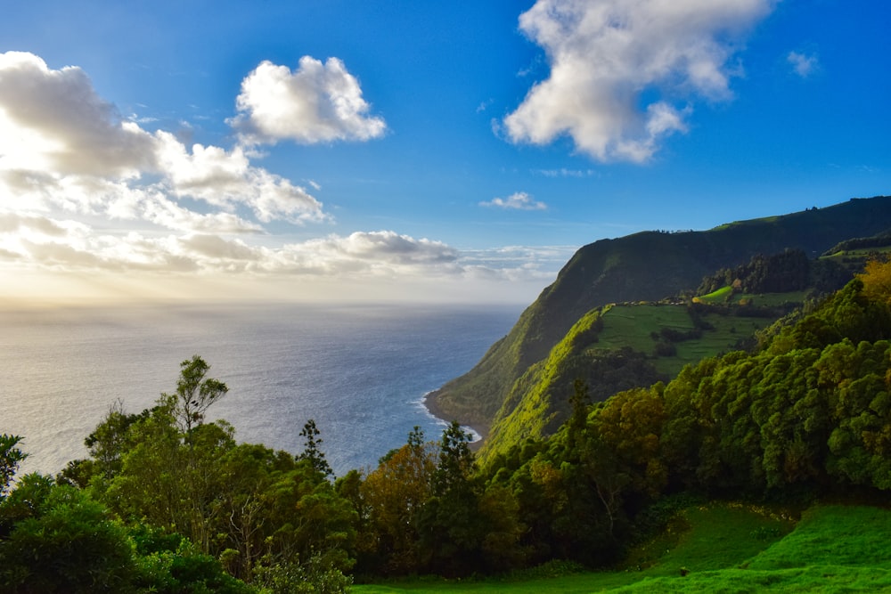 green trees on mountain near sea under blue sky during daytime