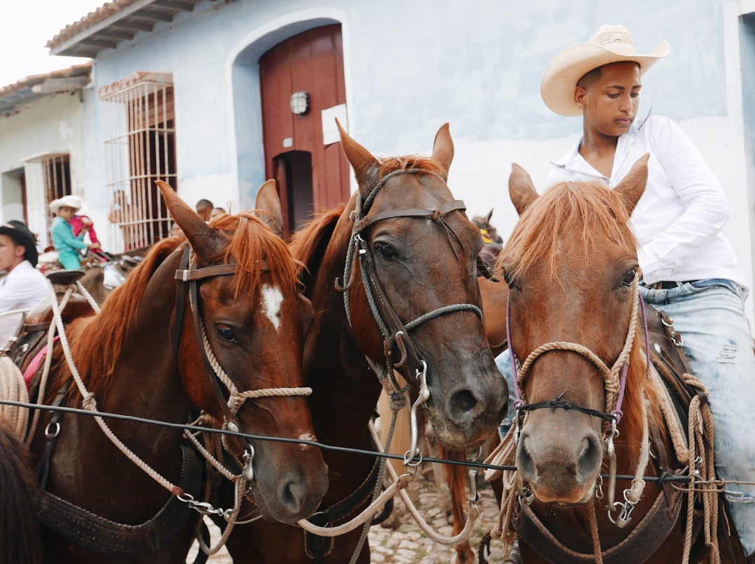 woman in white hat riding brown horse during daytime