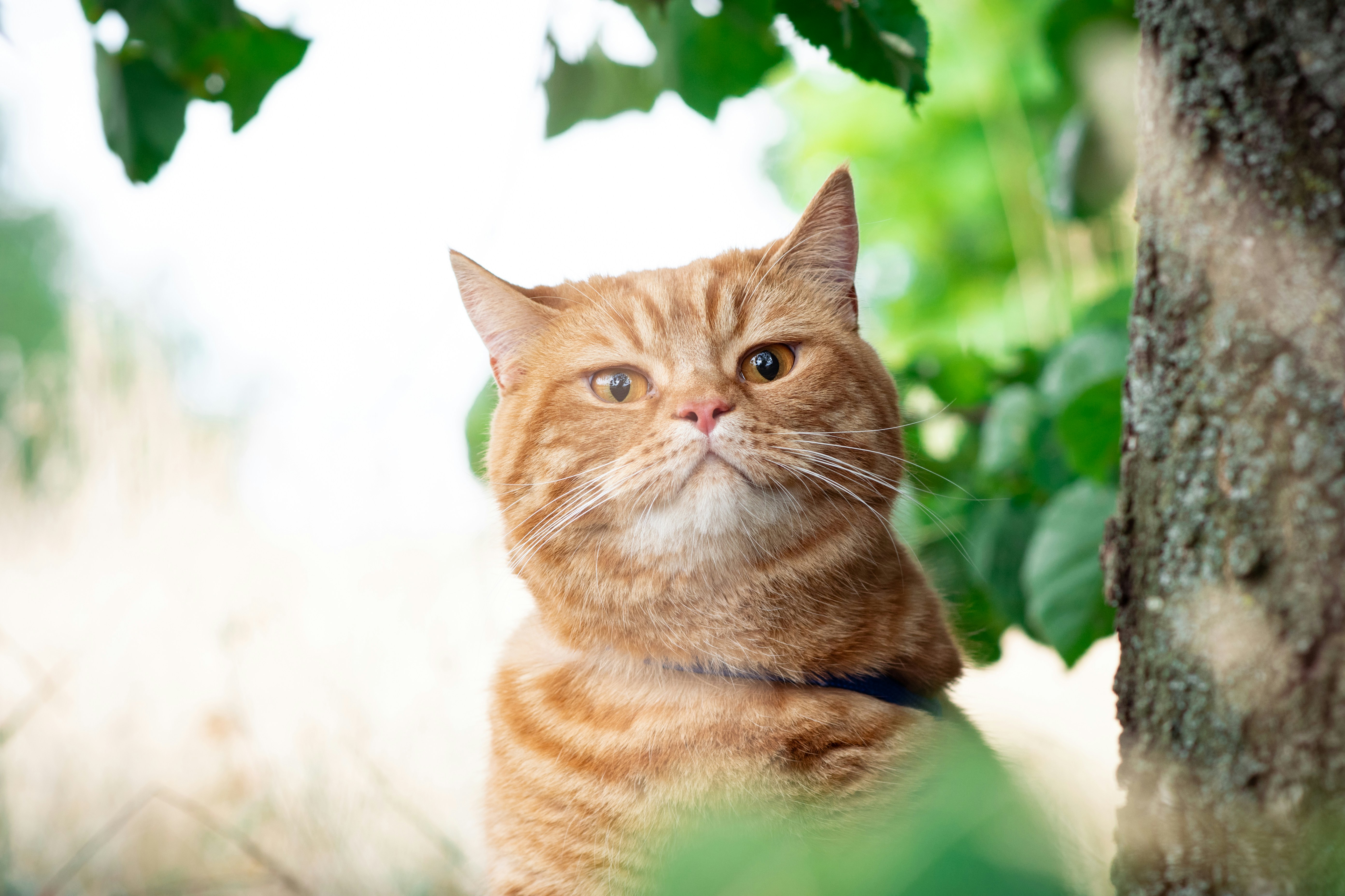 Photo by snatalia1516