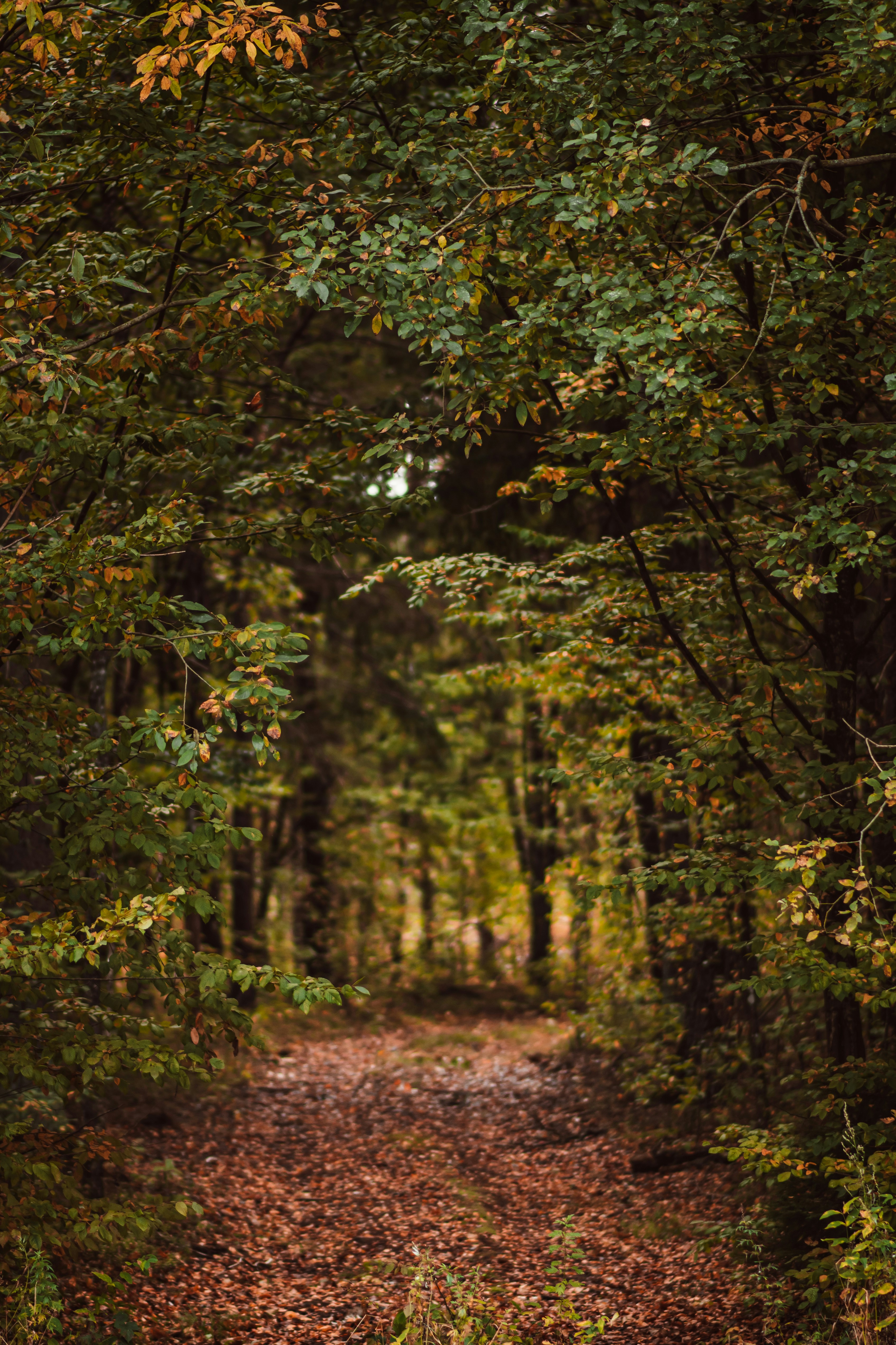 Photo by snatalia1516