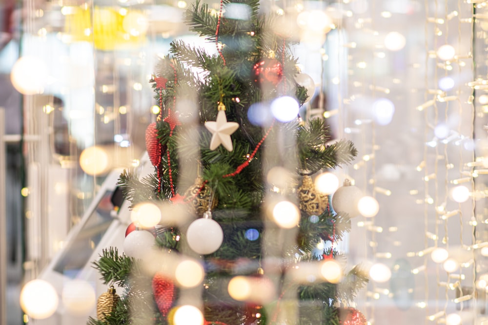 green christmas tree with string lights