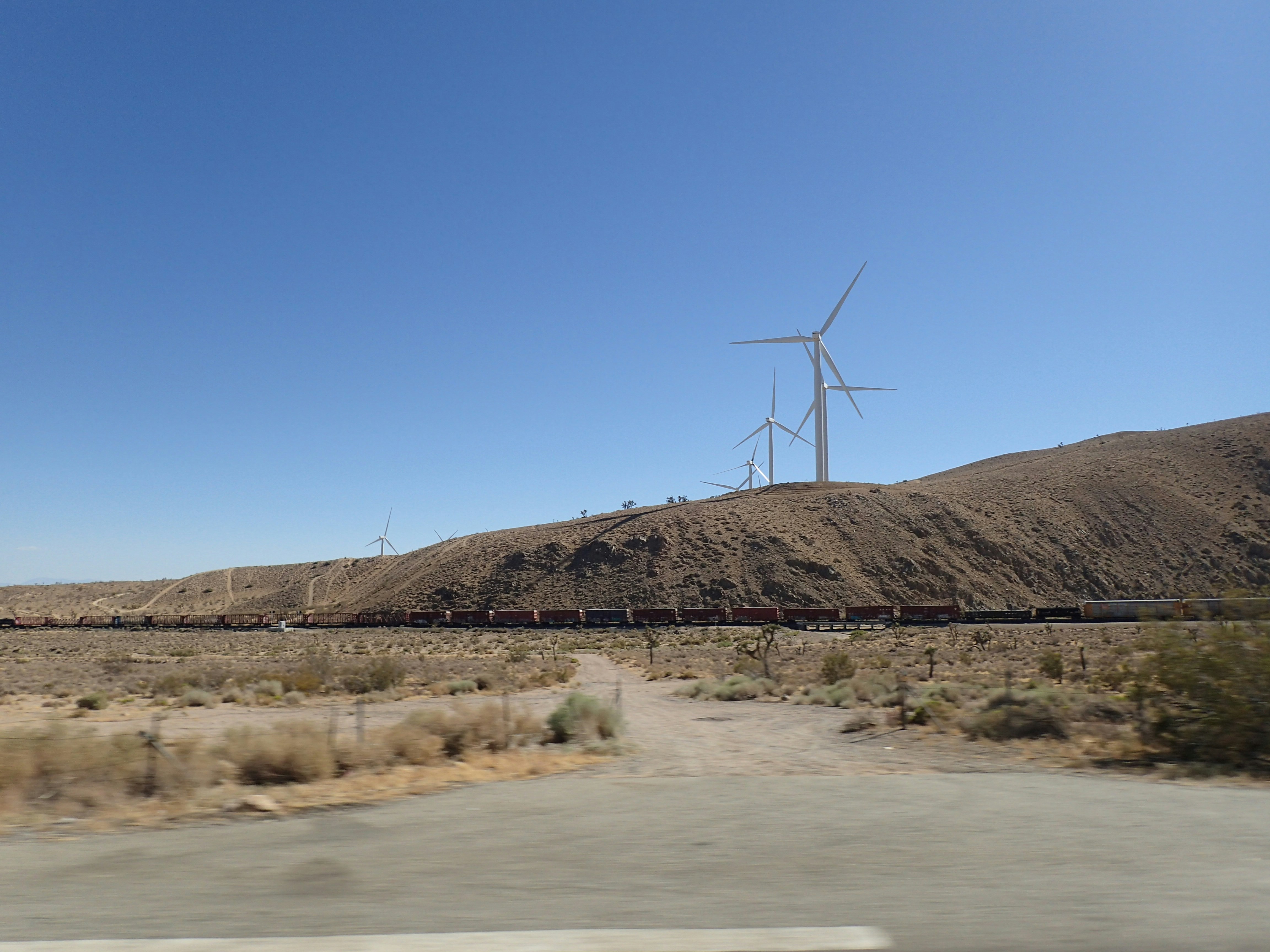 Photo by thiagorobert