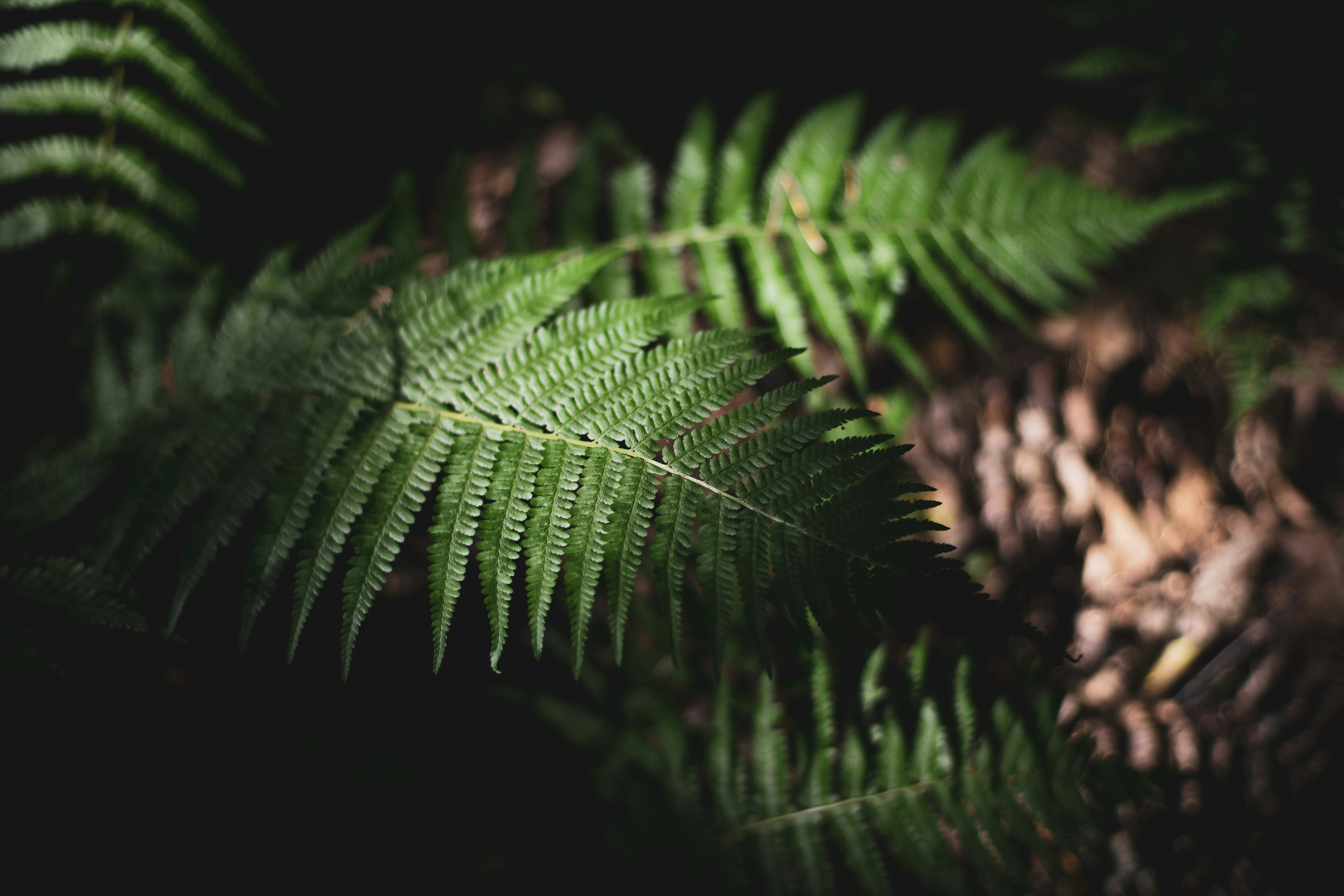 Photo by victor_vector