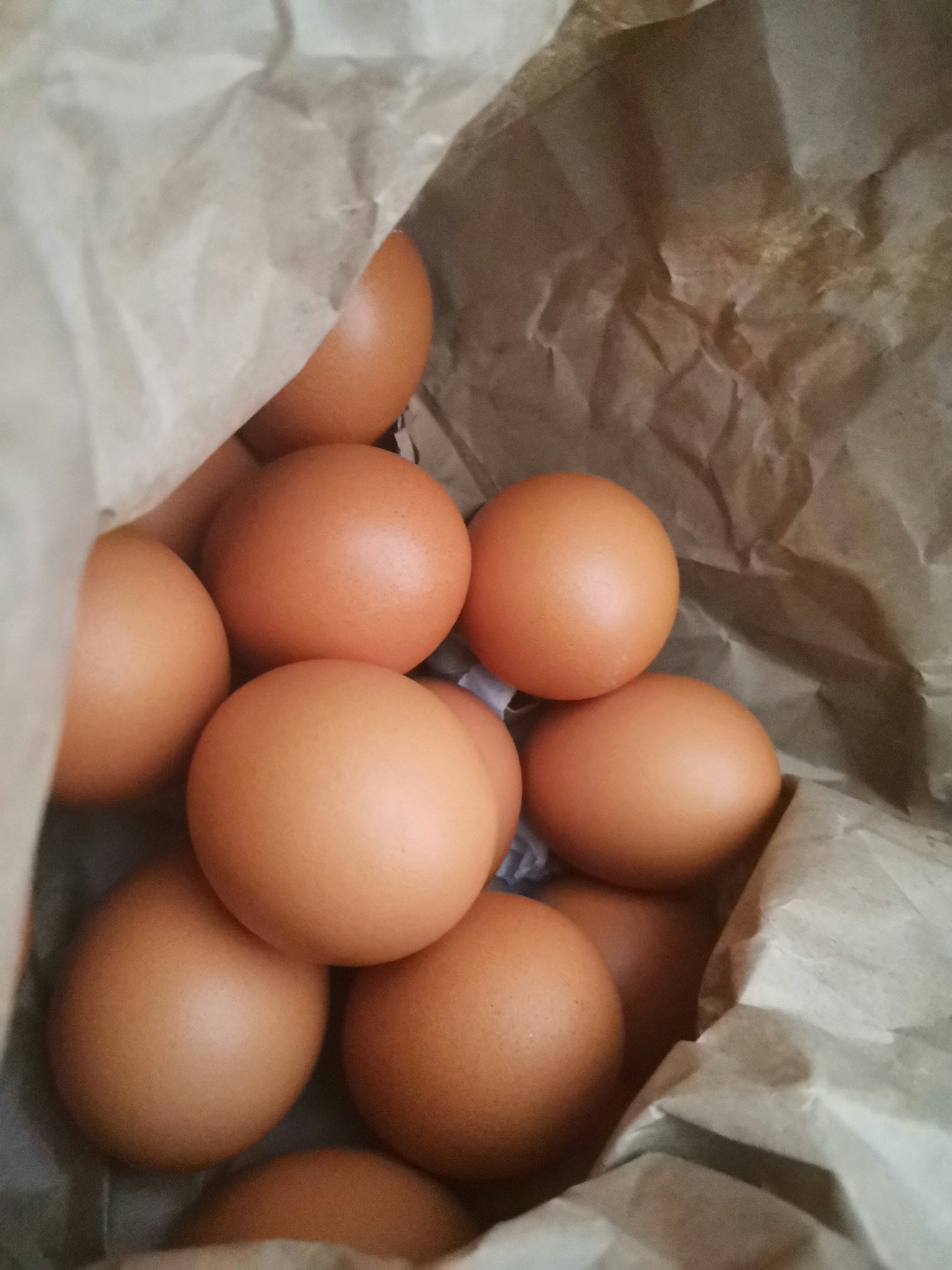 brown eggs on white paper