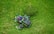 A person in a dark jacket and hat operates a green lawn mower on a lush, green grass field. The mower is maneuvering around a small bush, creating visible patterns on the lawn.