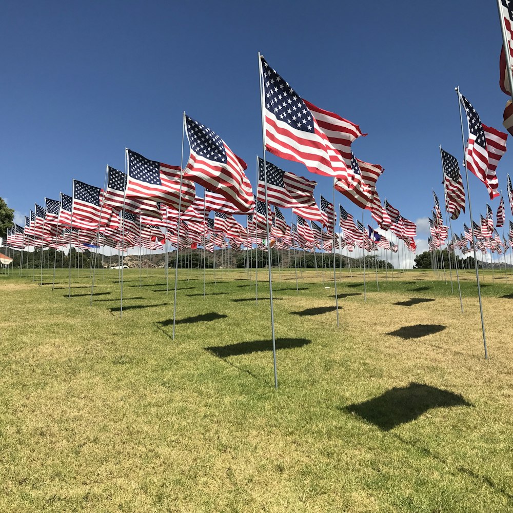 us a flags on green grass field under blue sky during daytime