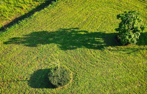 Suriname is the smallest country in mainland South America