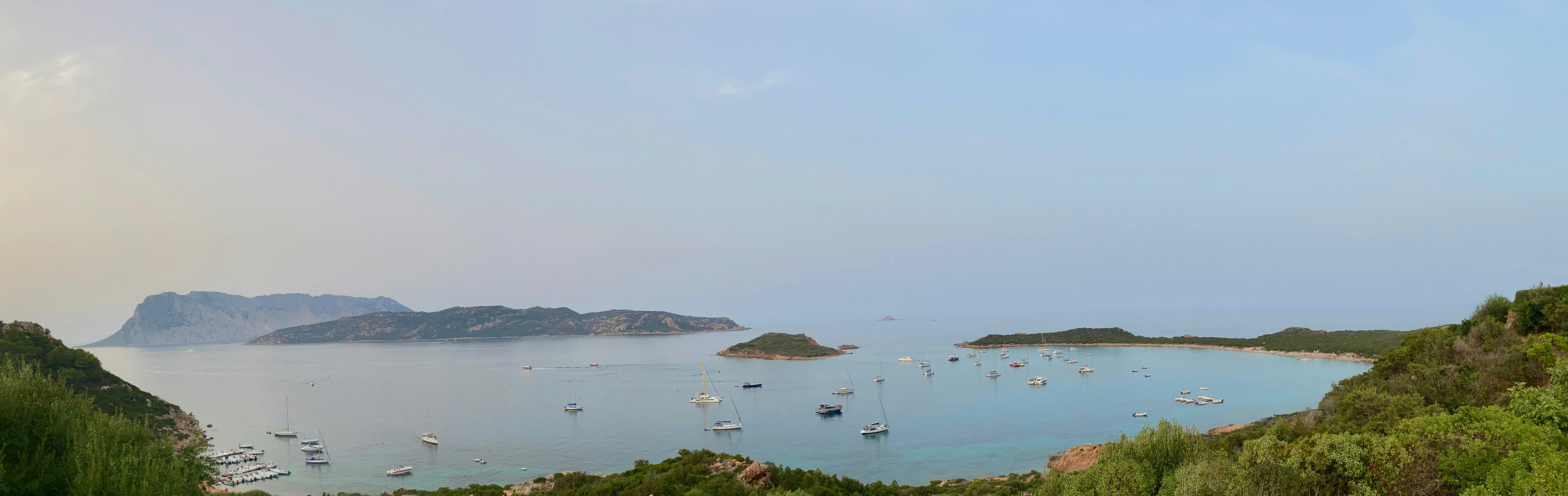 Coda alla vaccinara – Roman oxtail stew