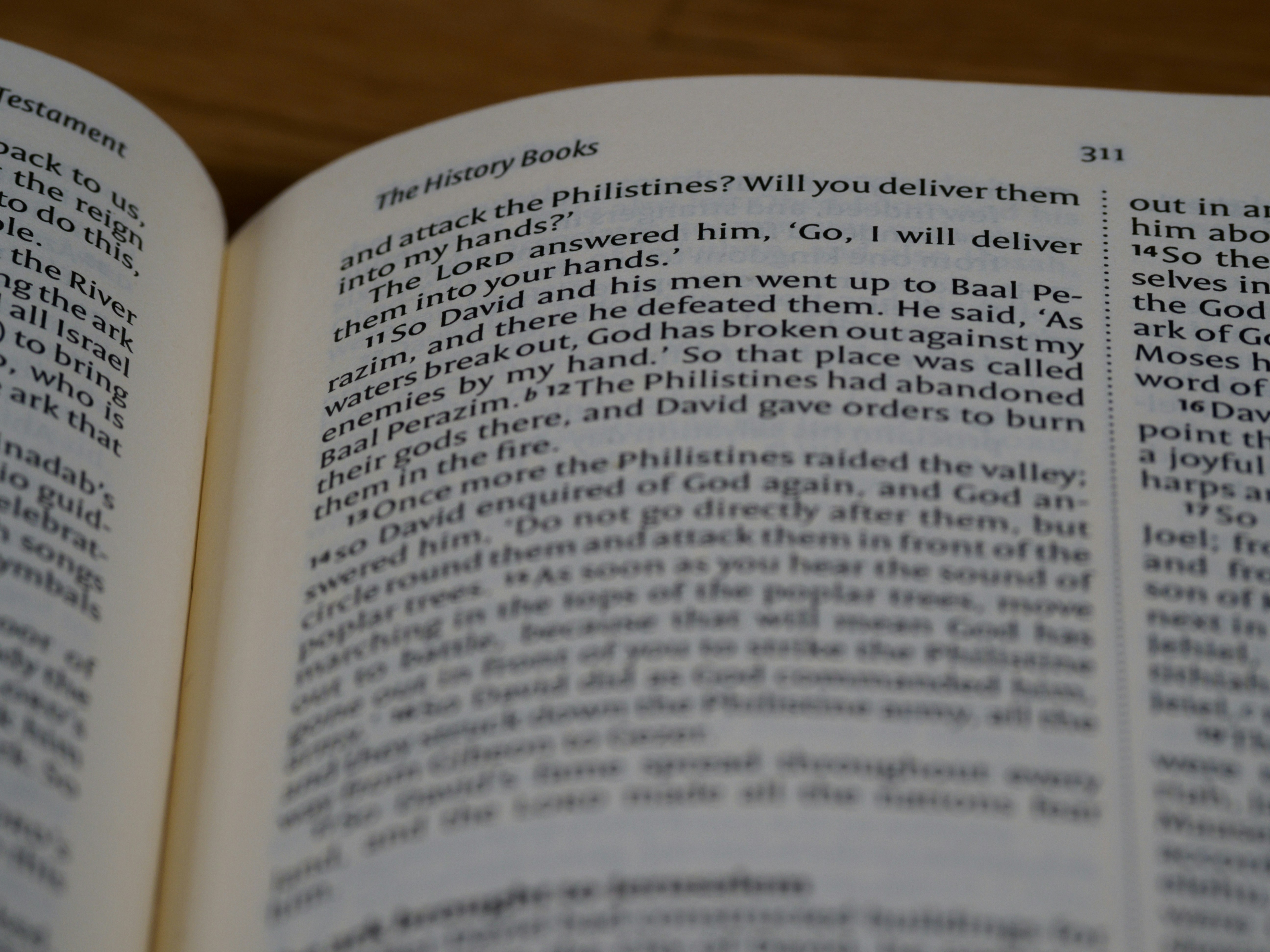 close up, bokeh, macro, blur, blurred background, close focus, bible, old testament, hebrew bible, christian, judaism, history, text, reading, bible study, devotions, text, NIV, New International Version, type, typography, canon, christianity, holy scripture, holy bible, scripture, chronicles, 1 chronicles, דִּבְרֵי־הַיָּמִים, Diḇrê Hayyāmîm, hebrew bible, final book, ketuvim, tanakh, septuagint, Paralipoménōn, Books of Paralipomenon, first chronicles, historical, <br />