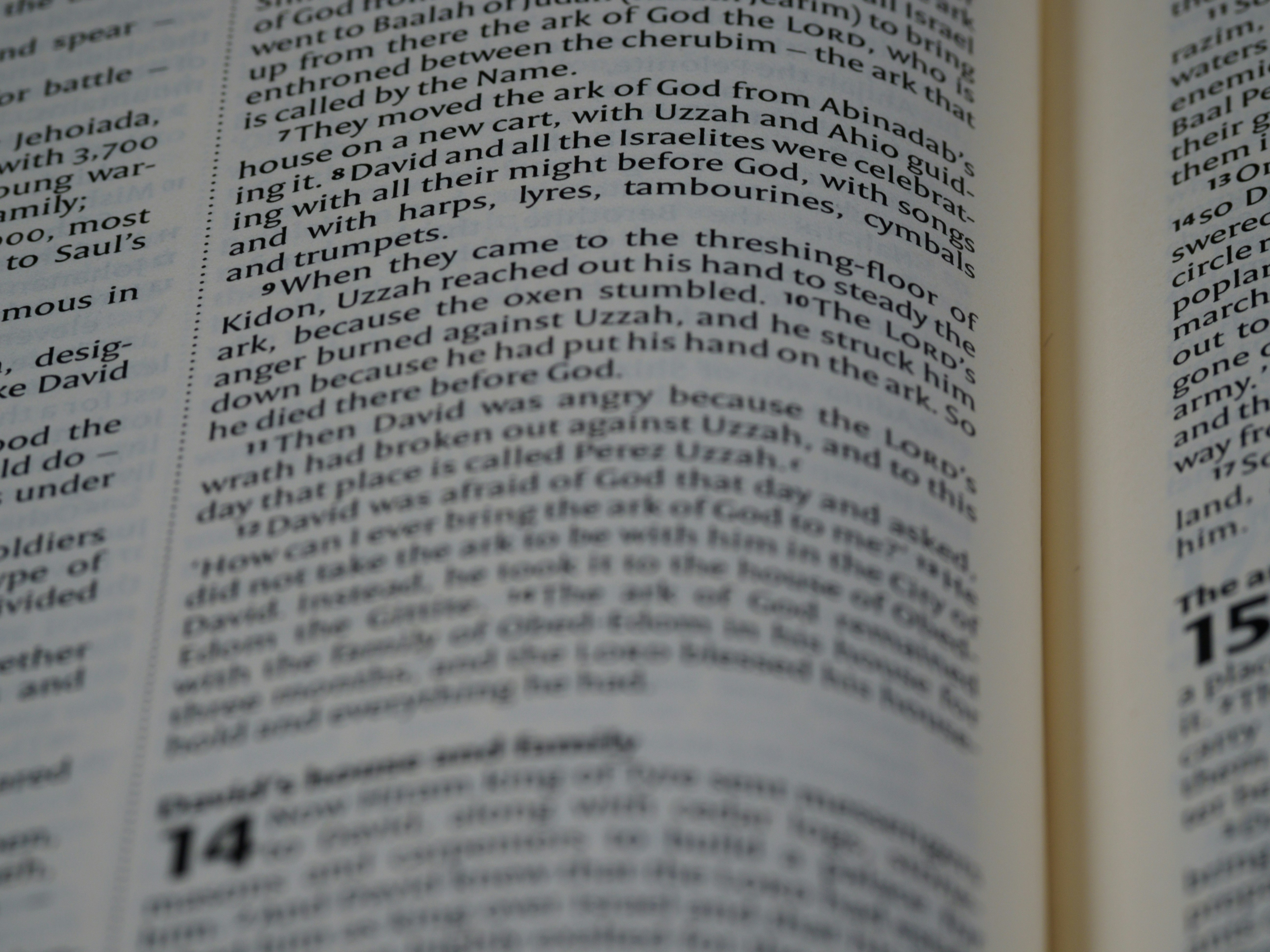 Photo by brett_jordan