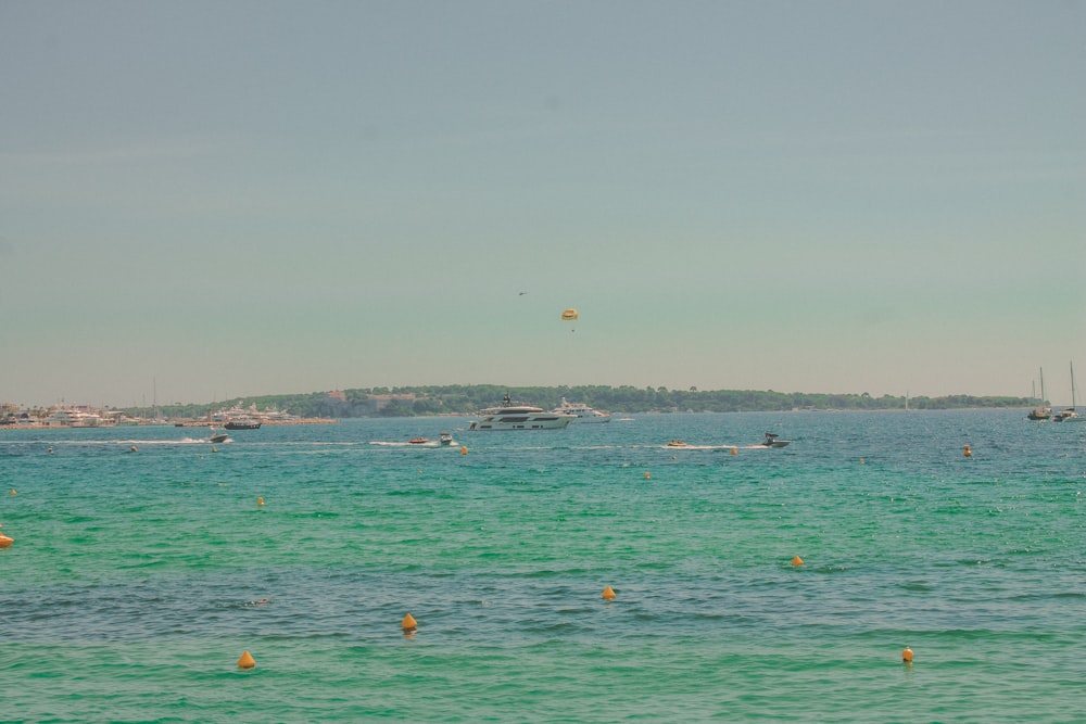 people in sea during daytime