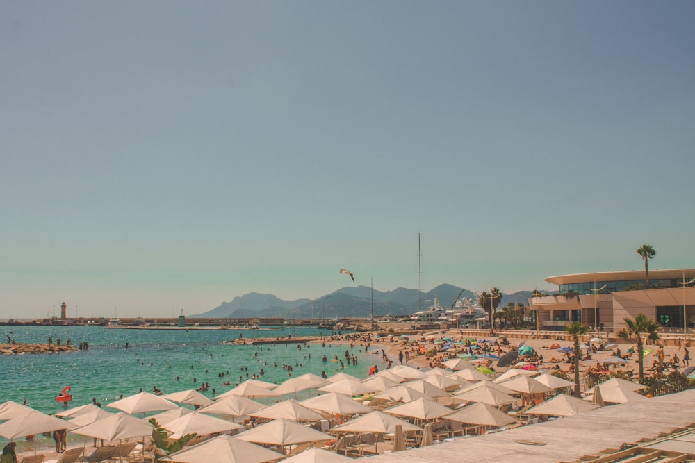 white and brown beach umbrellas on beach during daytime