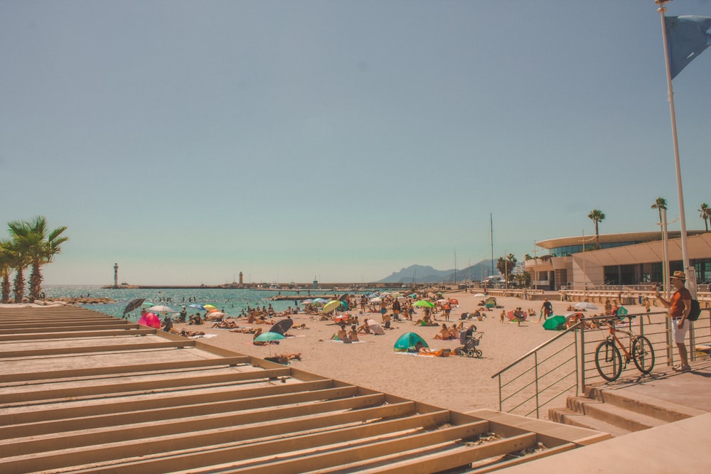 people on beach during daytime