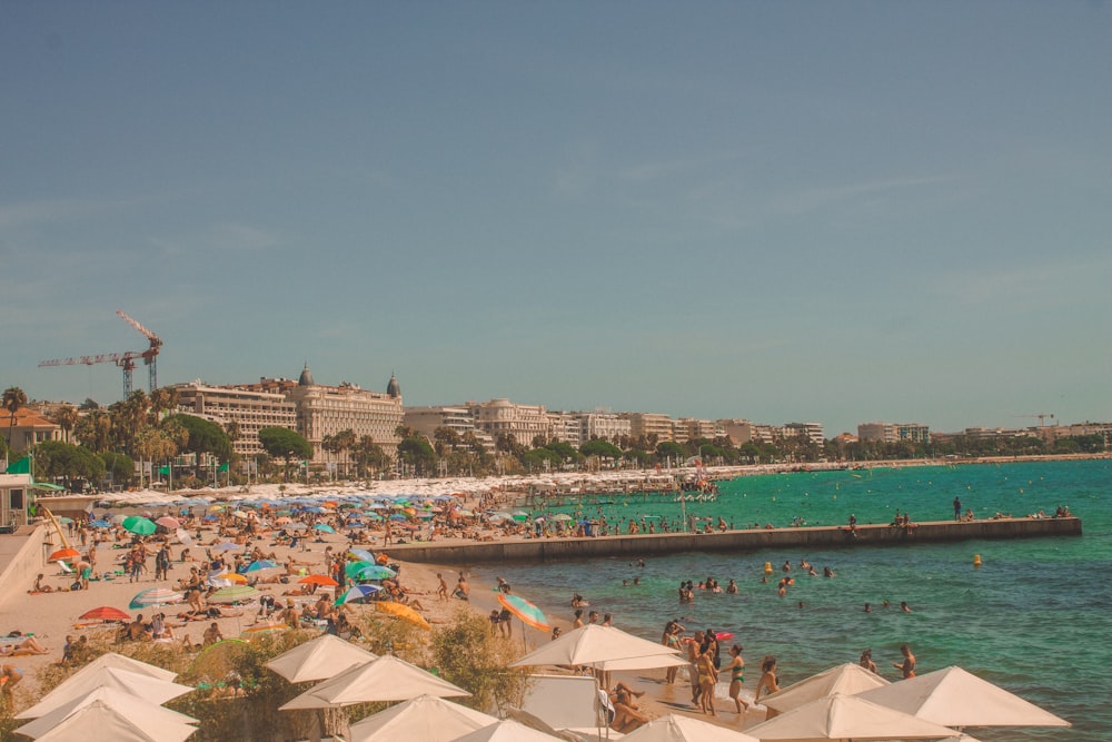 people on beach during daytime