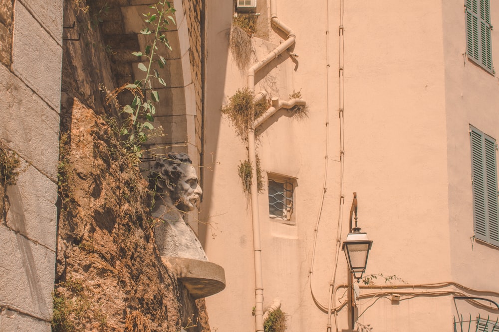 edifício de concreto branco perto de árvores verdes durante o dia