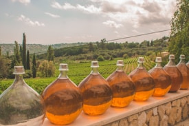 Large glass carboys filled with amber liquid are lined up on a stone ledge. In the background, there is a lush green vineyard with rows of grapevines stretching into the distance. The landscape is surrounded by tall trees and rolling hills under a partly cloudy sky.