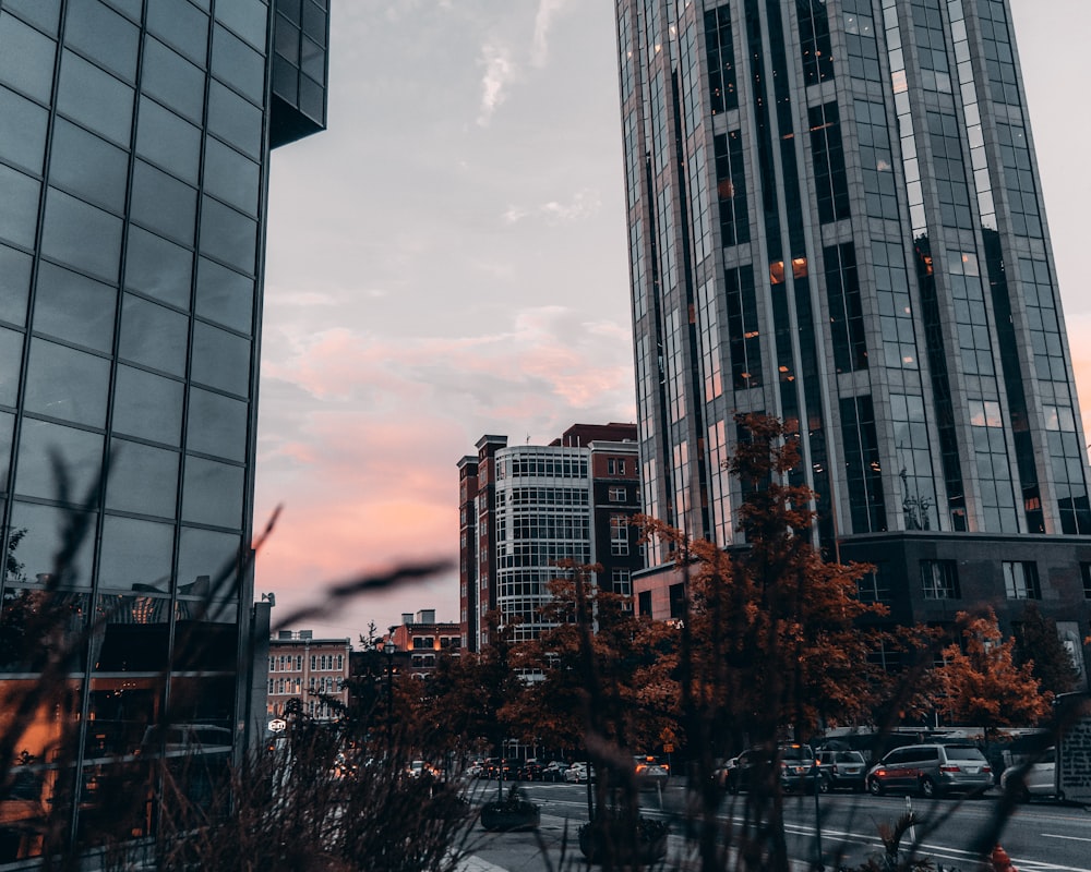 cars parked on side of road near high rise buildings during daytime