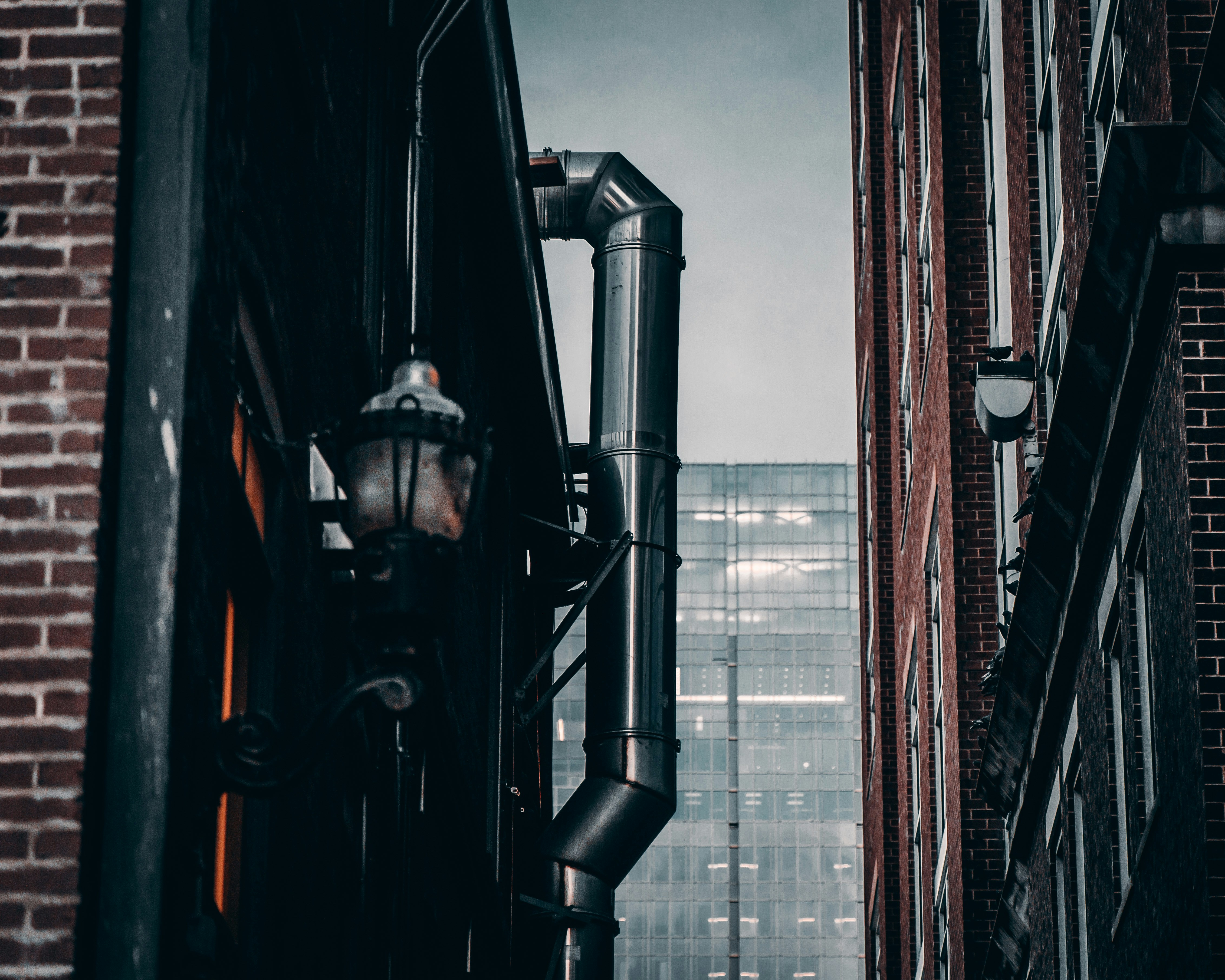 Photo by charleypangus