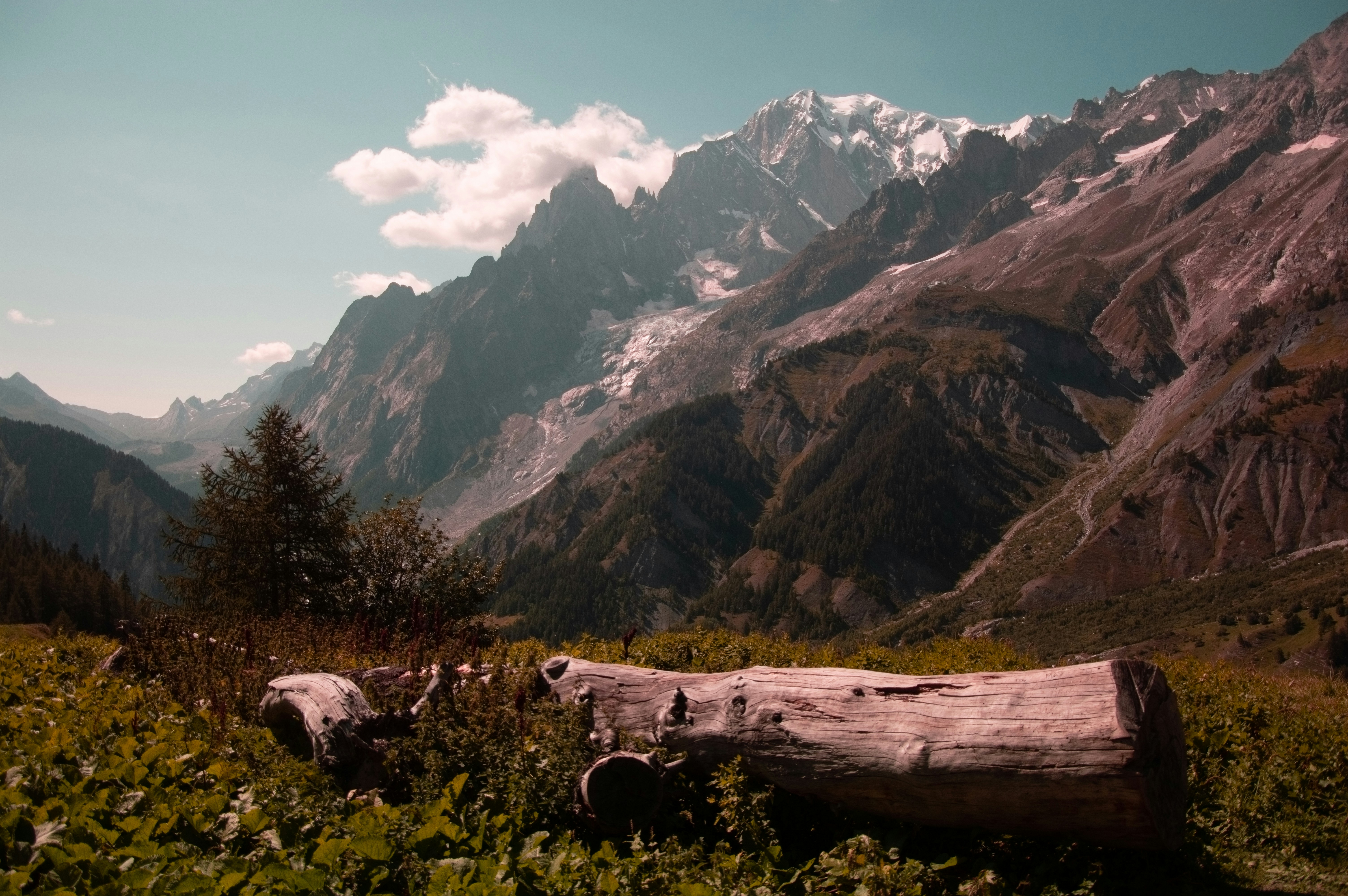 brown tree log on green grass field near mountain under white clouds and blue sky during