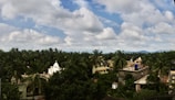 Scenic view of Serra do Mel’s rural landscape with cashew trees.