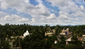 Scenic view of Serra do Mel’s rural landscape with cashew trees.