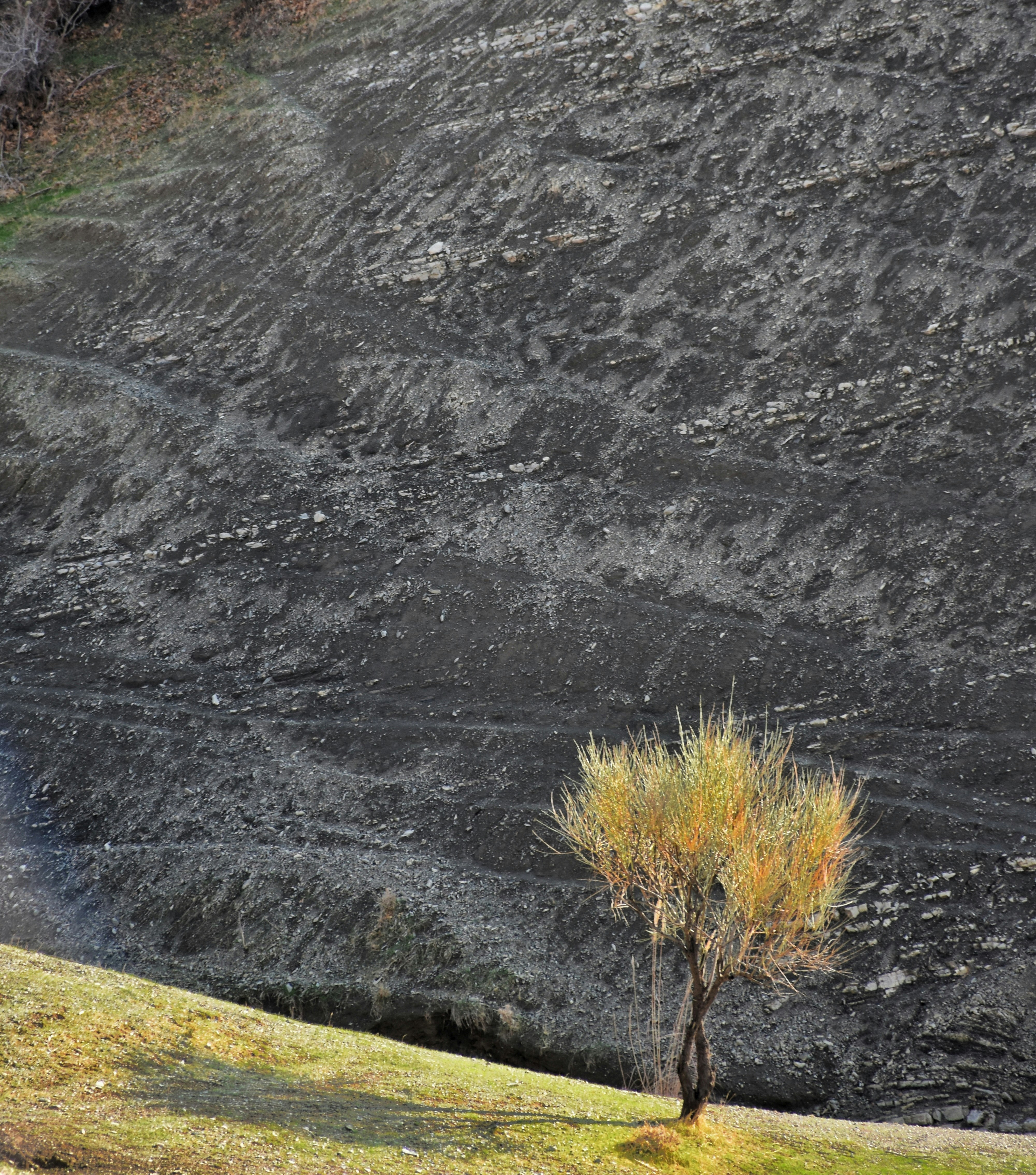 green grass field near gray mountain during daytime