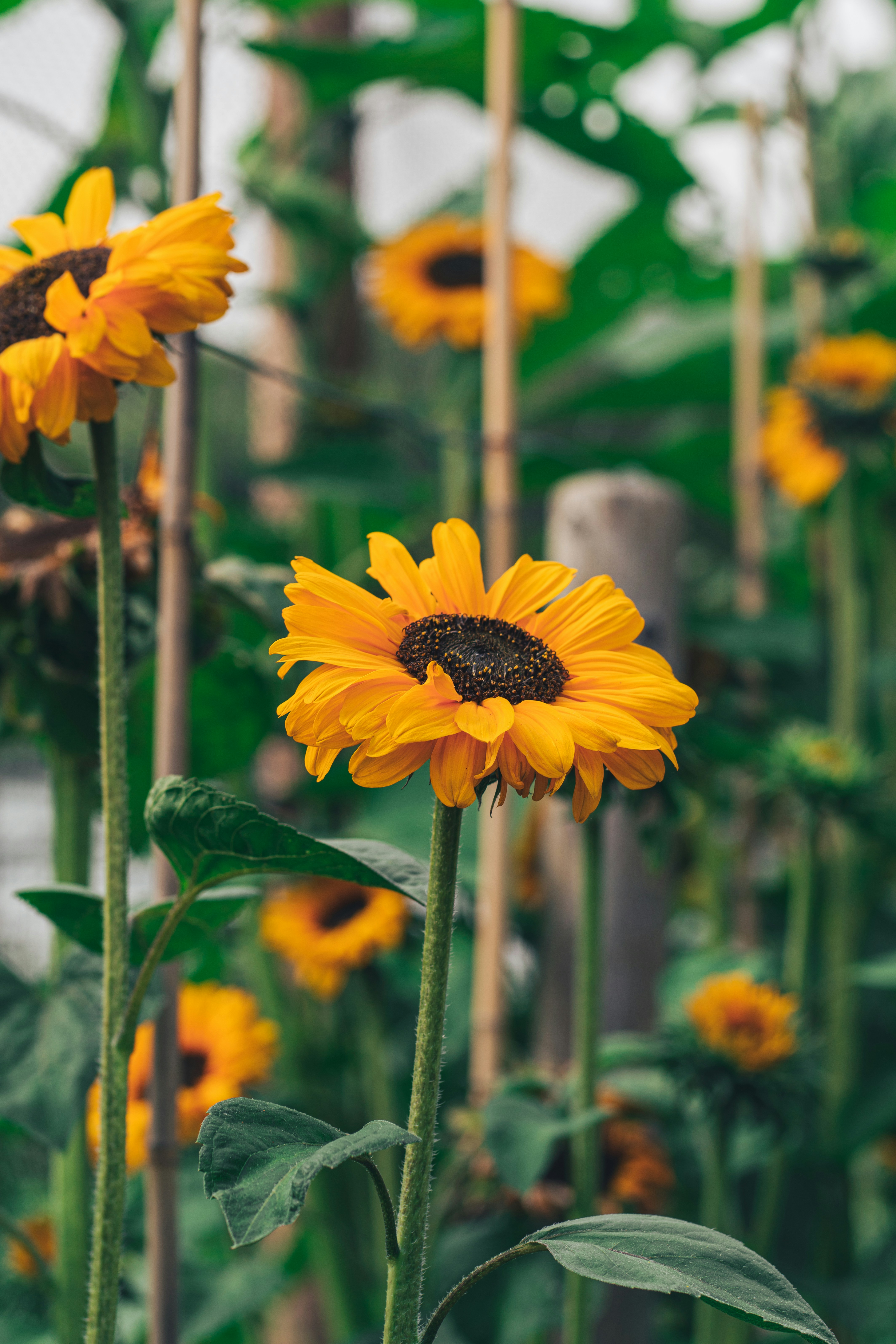 Photo by orangetiephotography