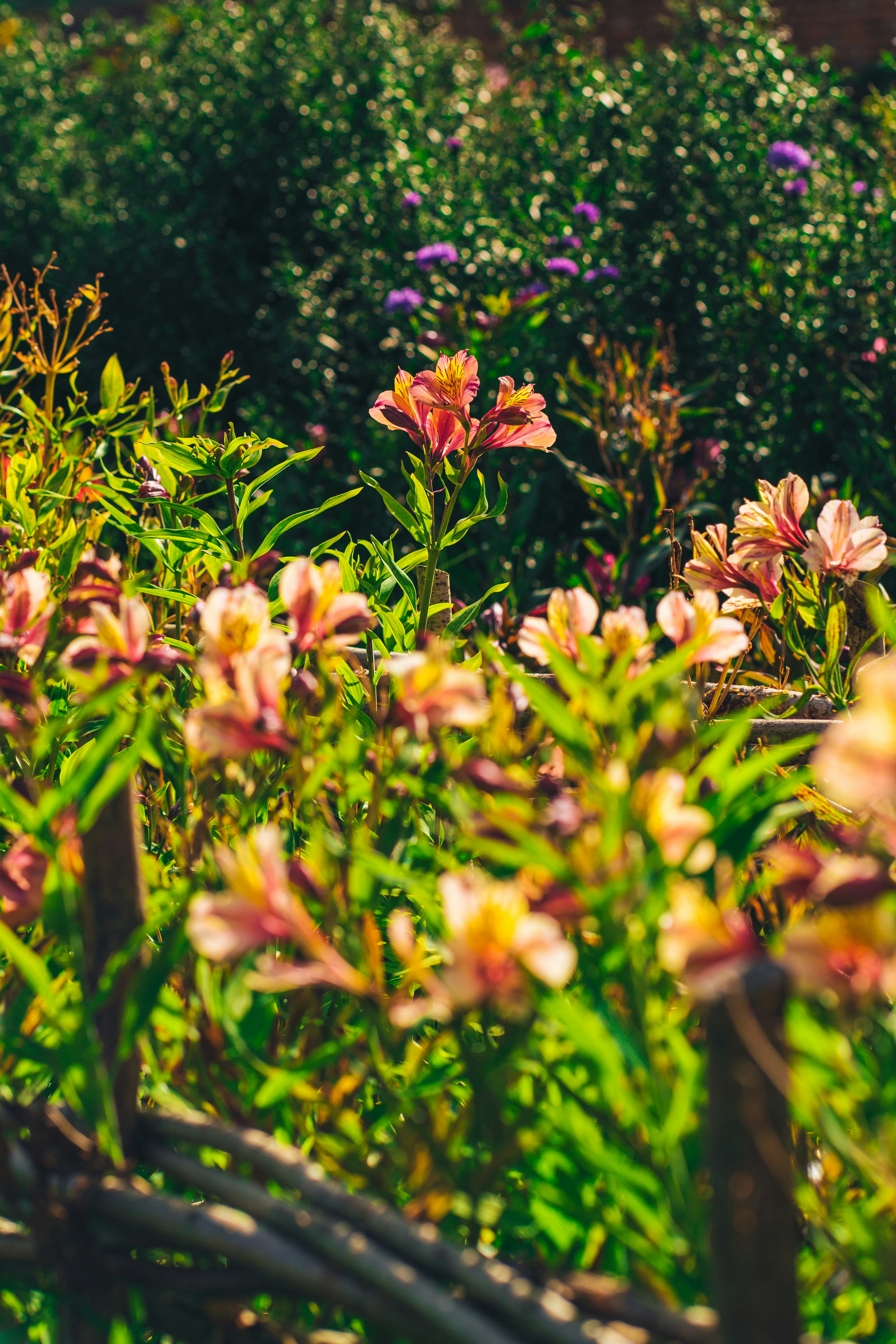 Photo by orangetiephotography