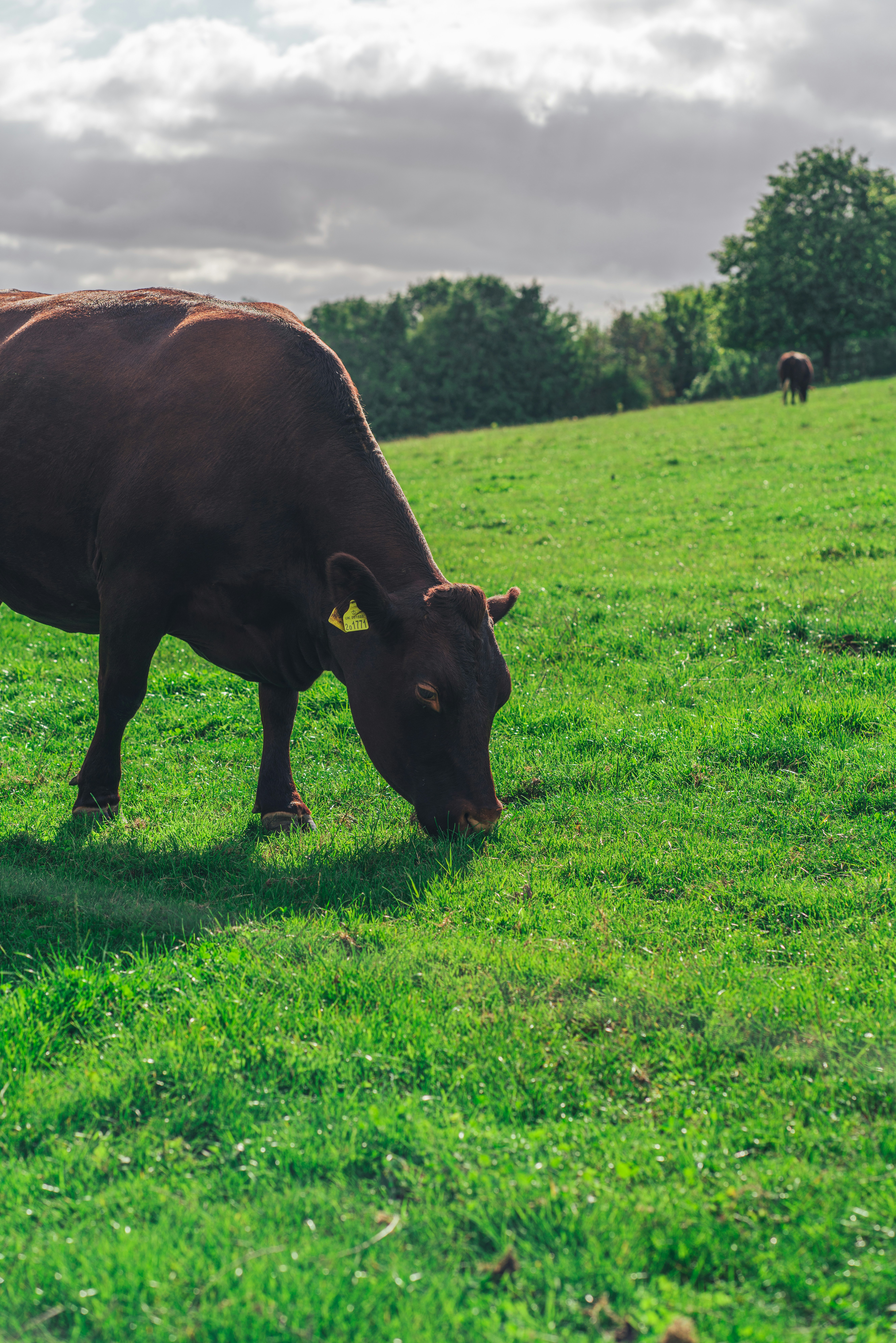 Photo by orangetiephotography