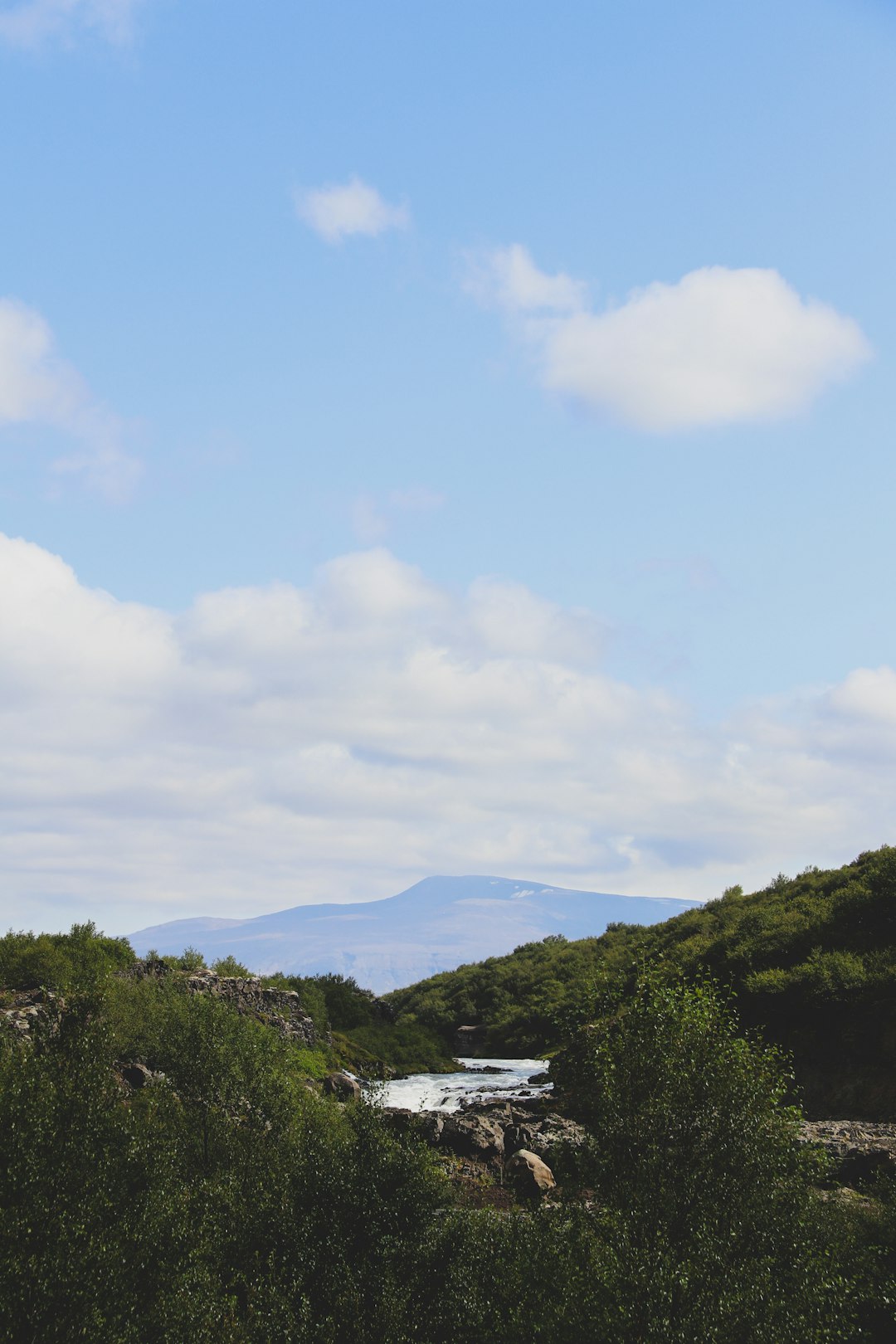 green trees and mountains under white clouds and blue sky during daytime