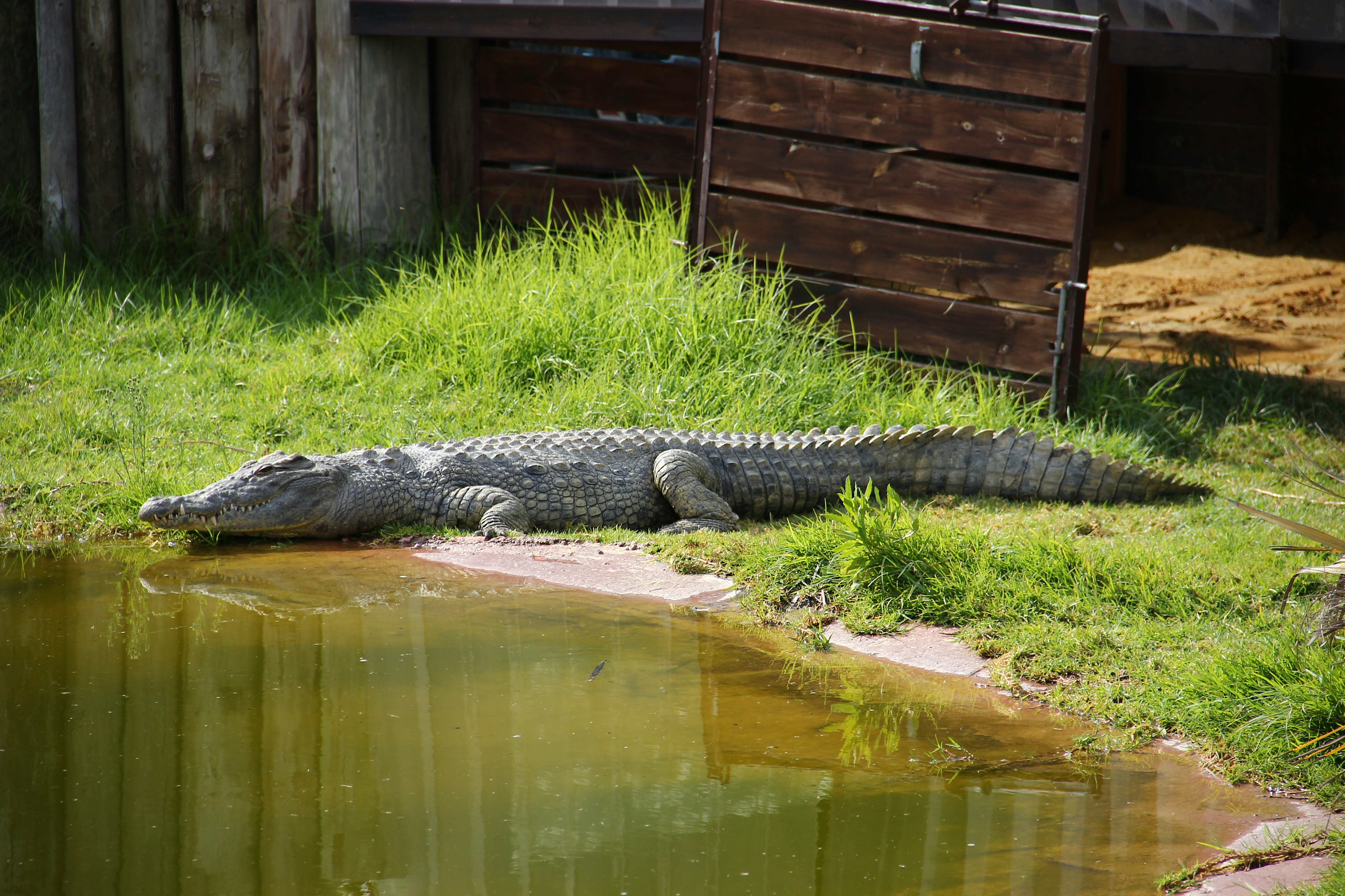 Photo by shalevcohen