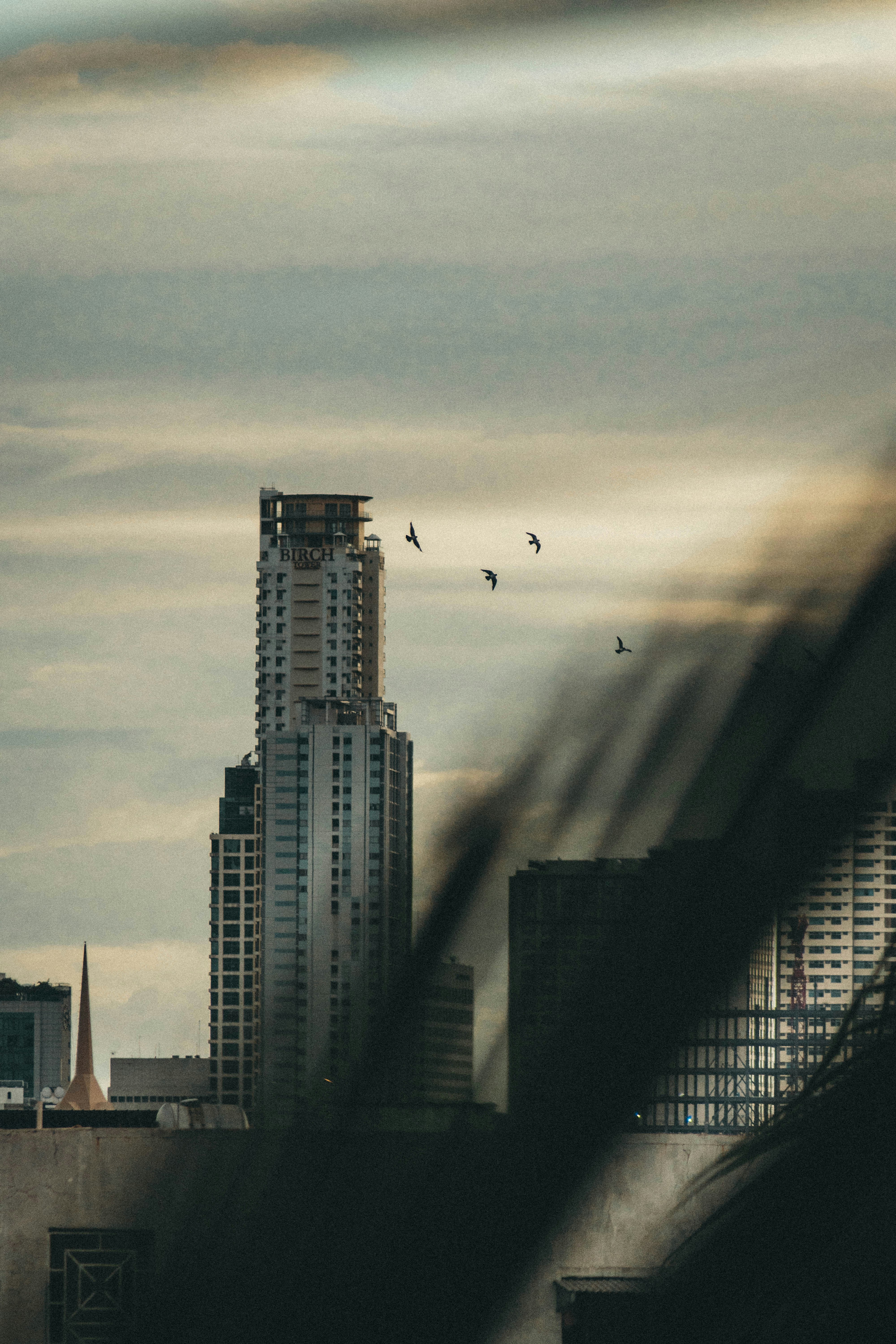 Photo by imgeraldescamos