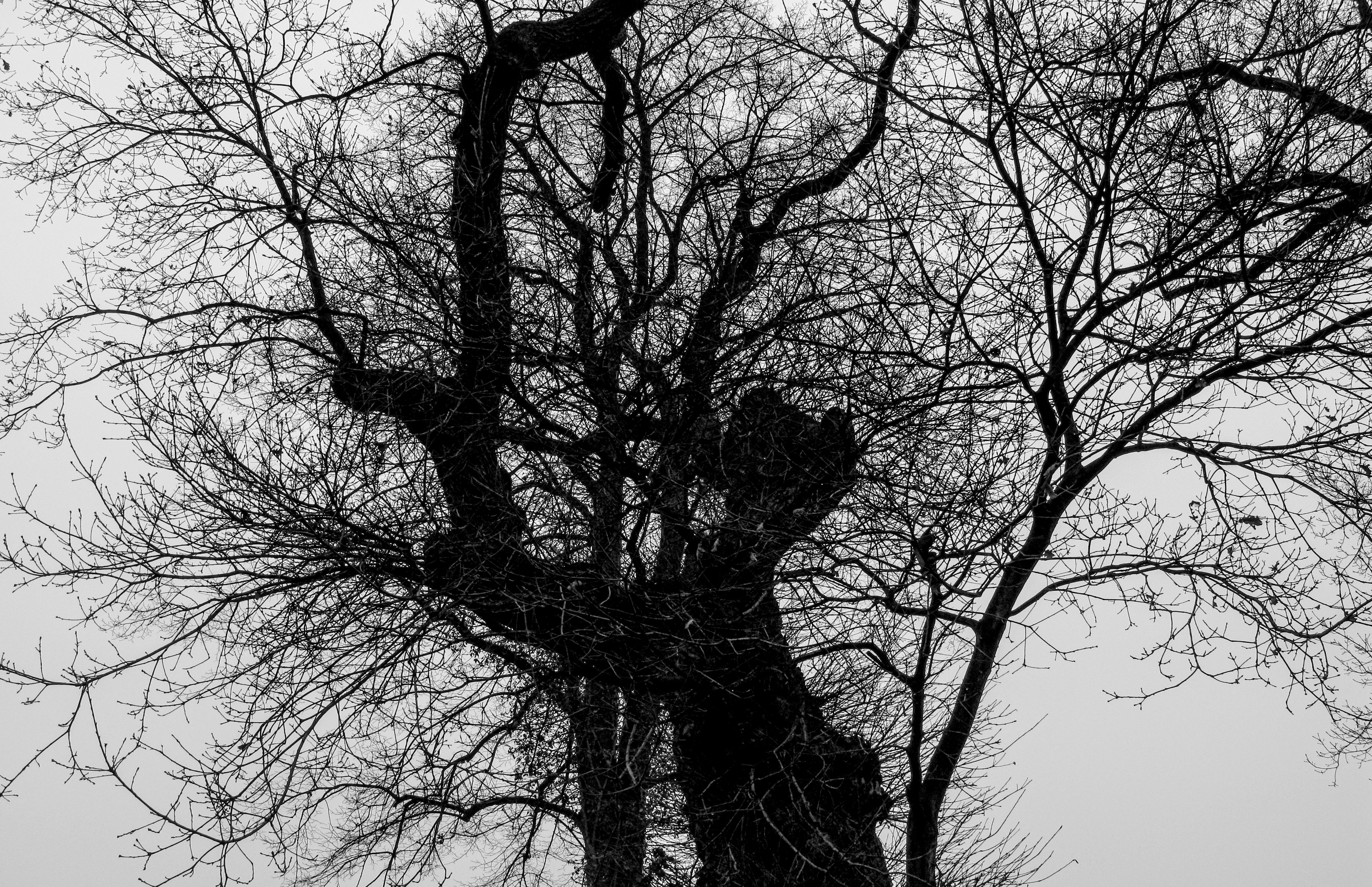 Photo by wilhelmgunkel