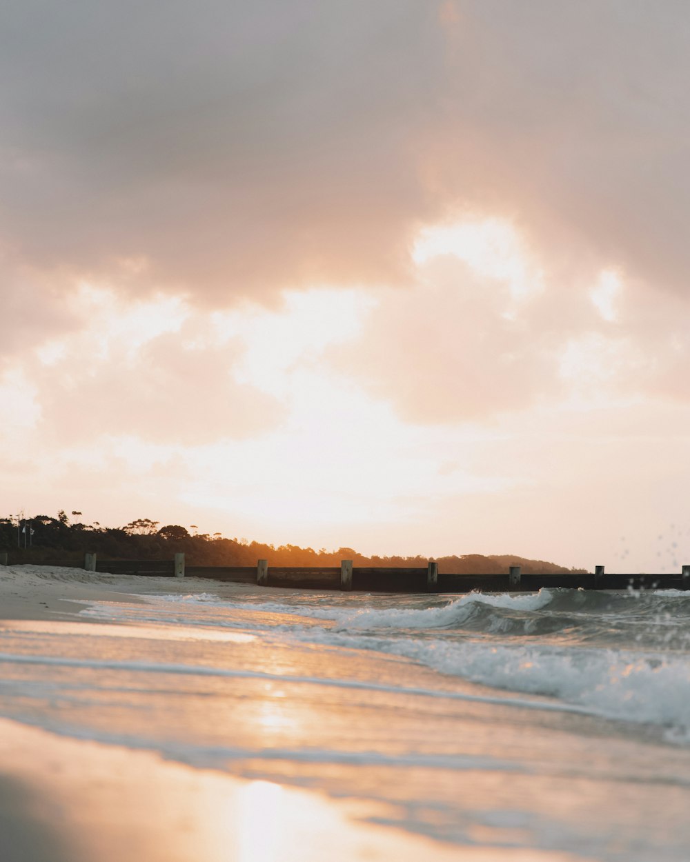 silhouette of people on beach during sunset