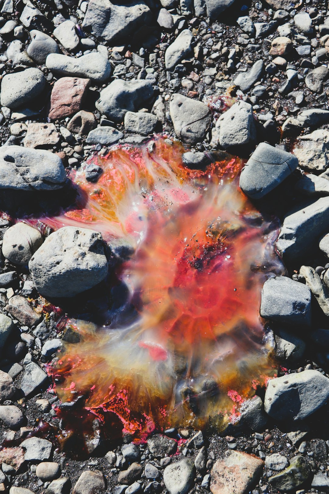 burning wood on rocky ground