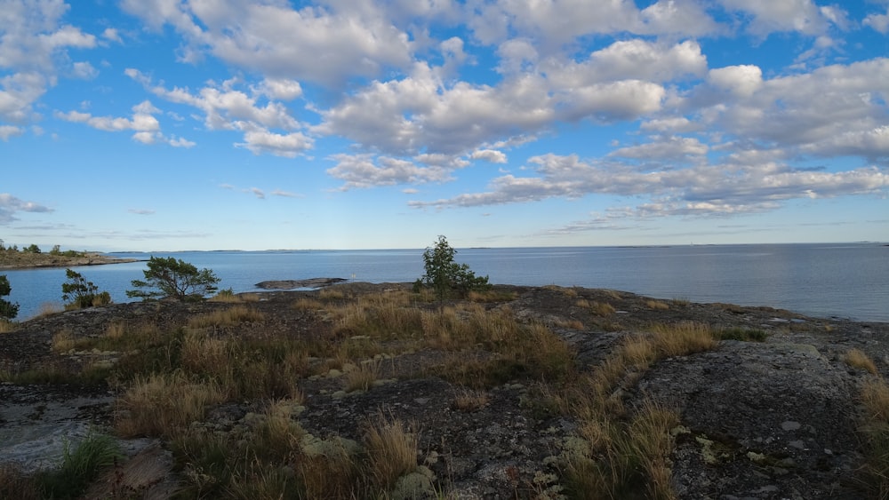 green grass field near body of water under blue and white cloudy sky during daytime