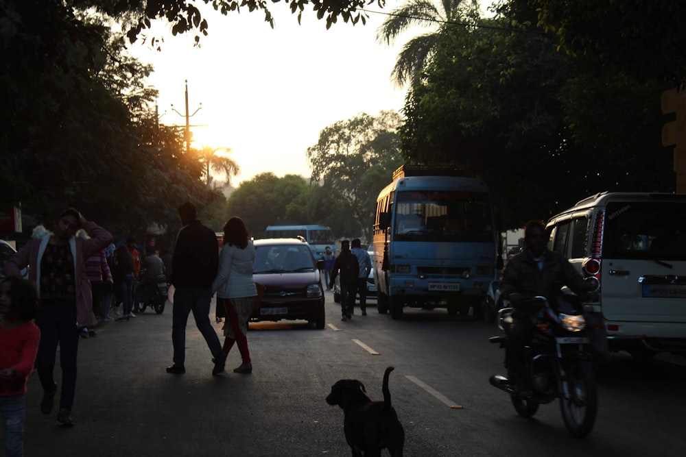 people walking on street with black labrador retriever during daytime