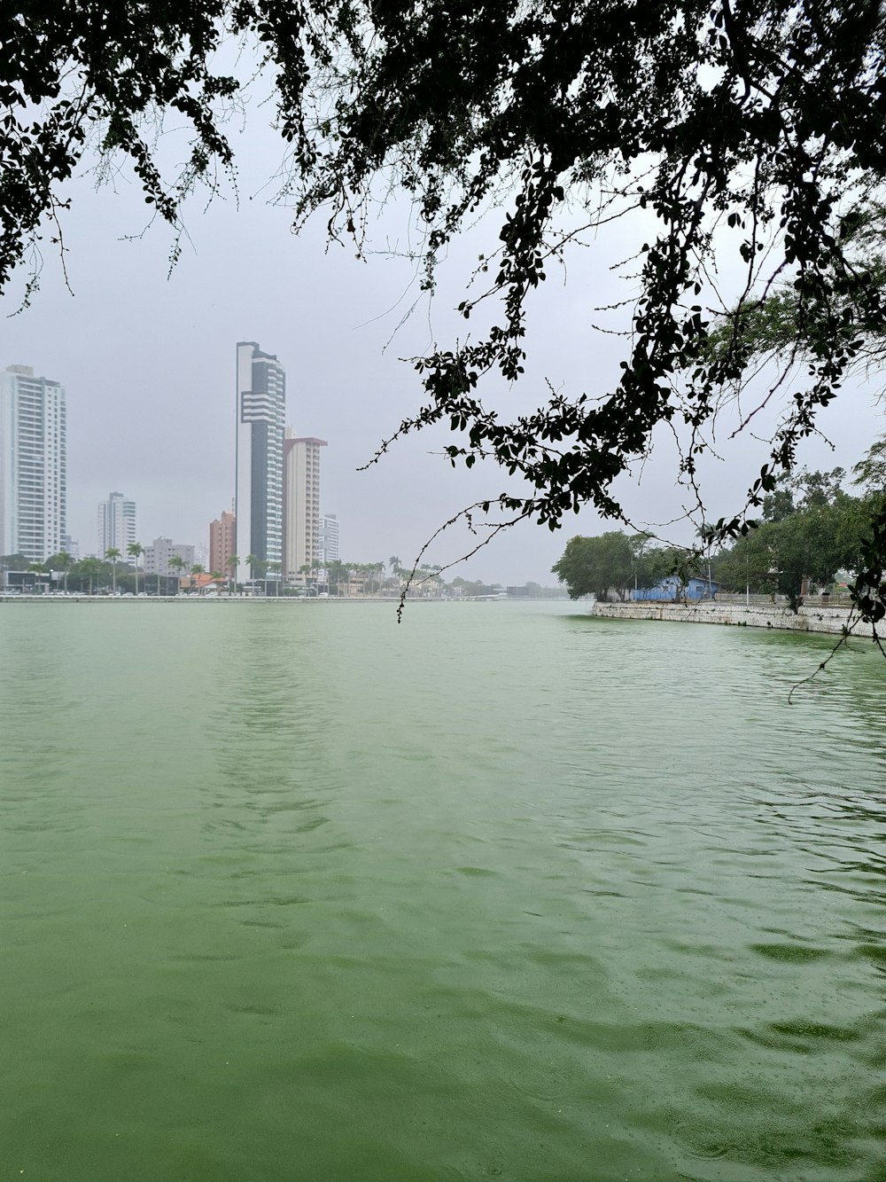 body of water near city buildings during daytime