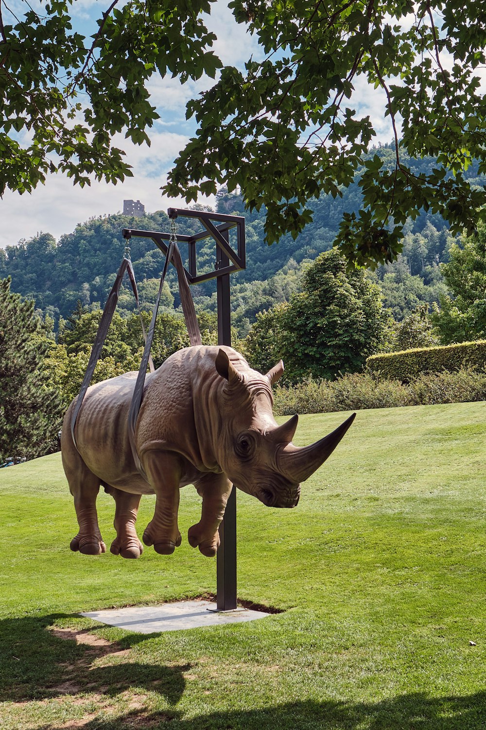 brown rhinoceros on green grass field during daytime